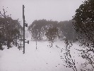 Thumbnail 1:20pm Monday 23rd of June 2025