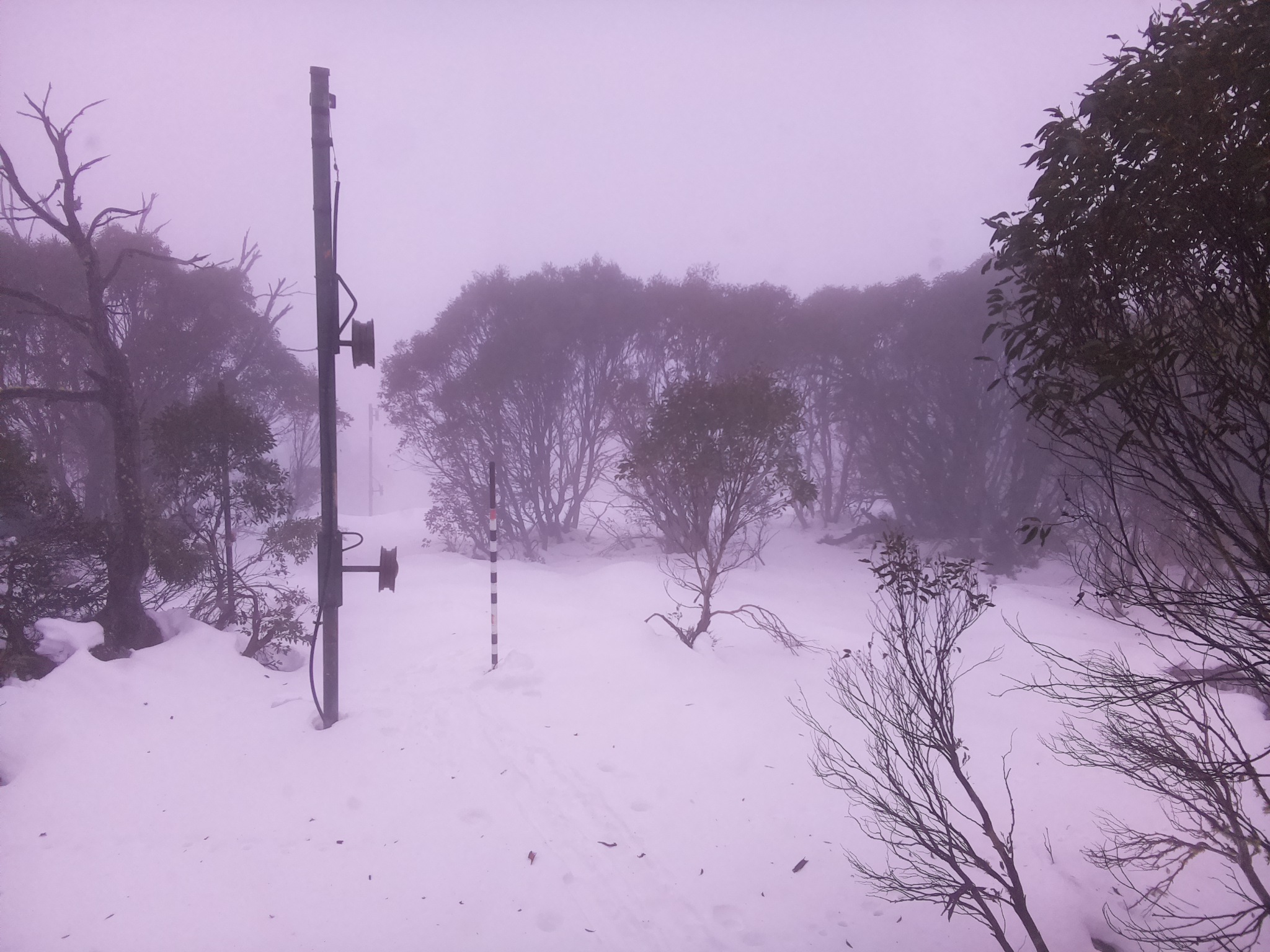 Bogong Web Cam 3:40pm Monday 23rd of June 2025