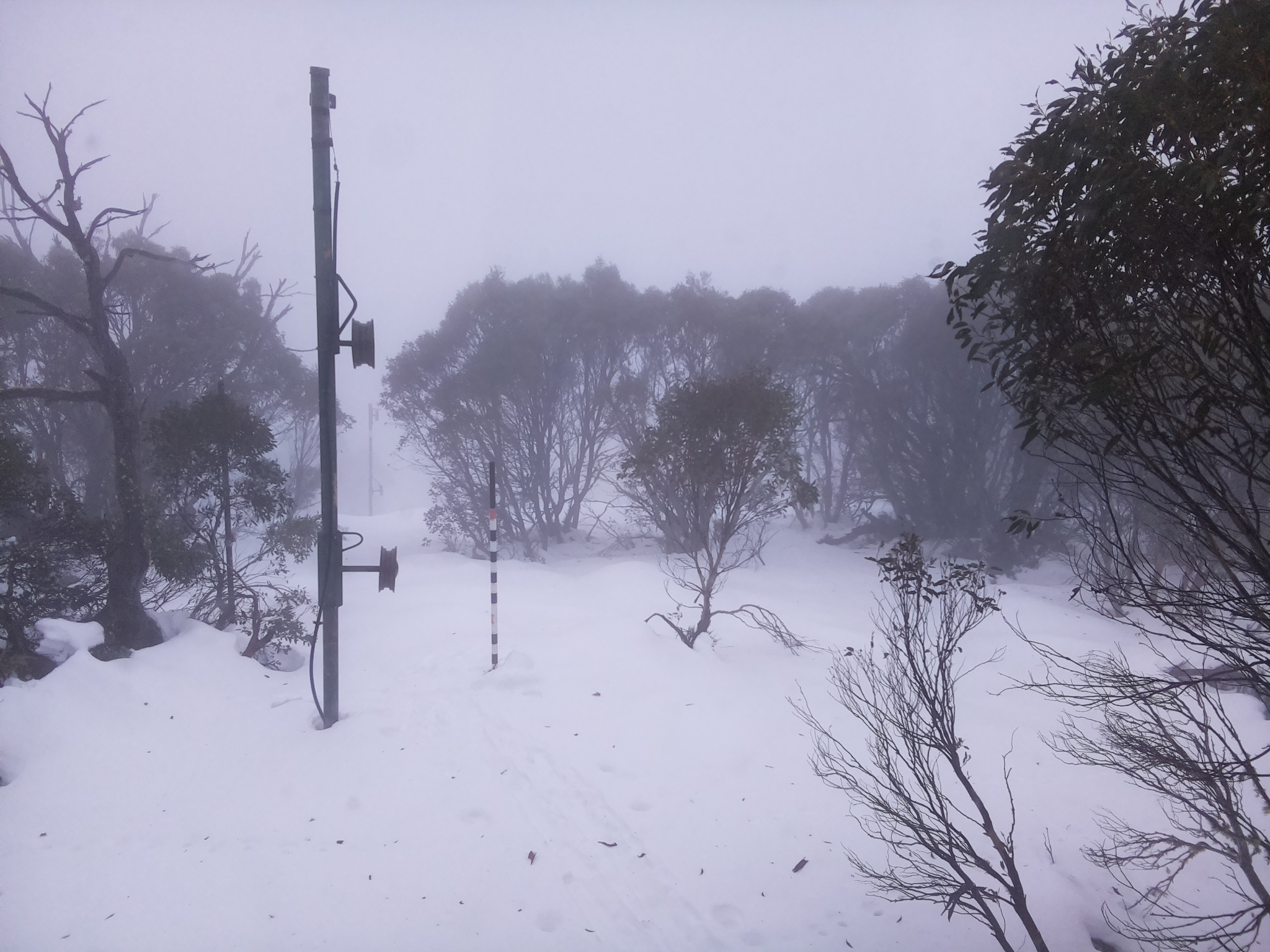 Bogong Web Cam 3:50pm Monday 23rd of June 2025