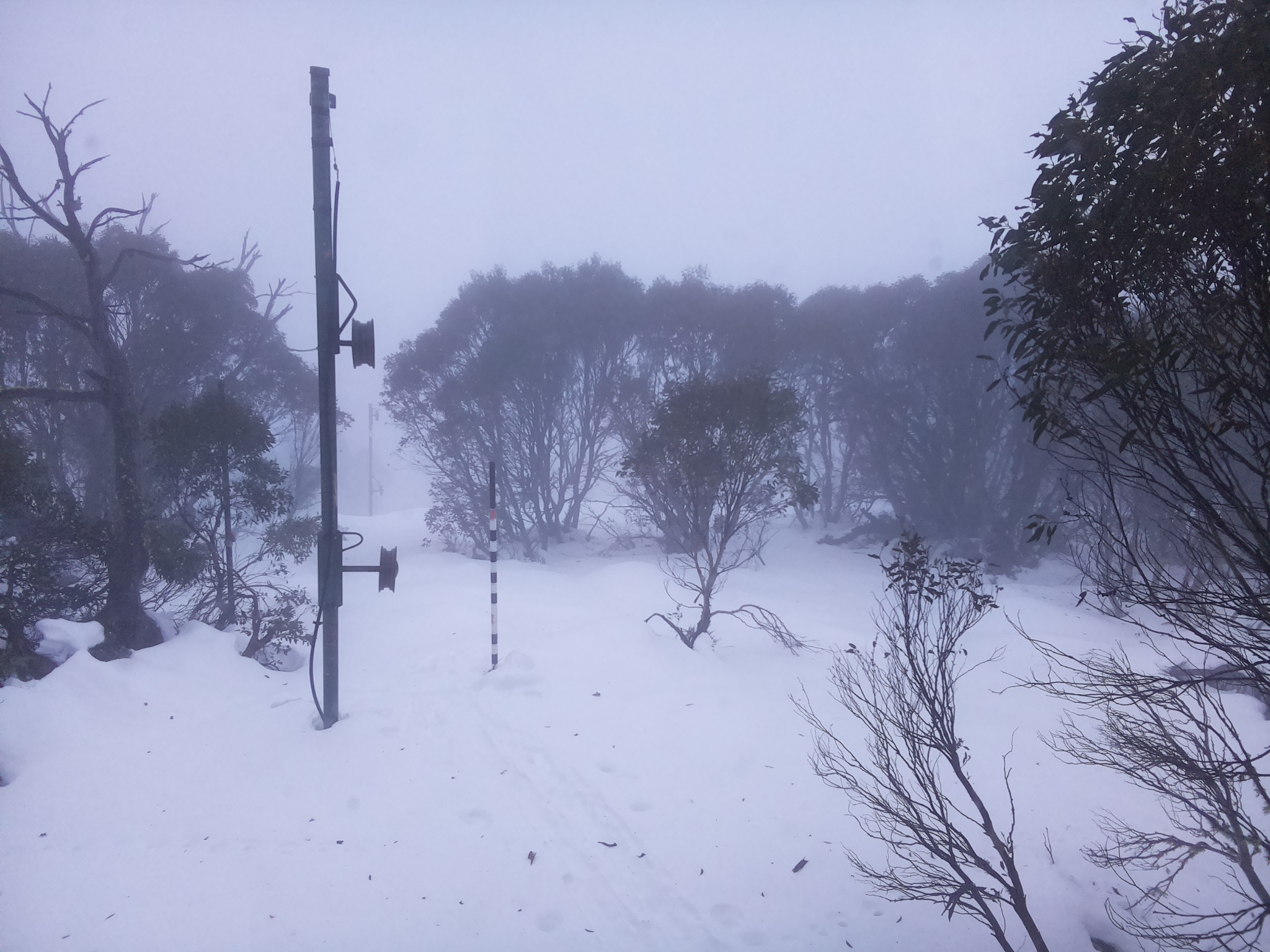 Bogong Web Cam 4:00pm Monday 23rd of June 2025