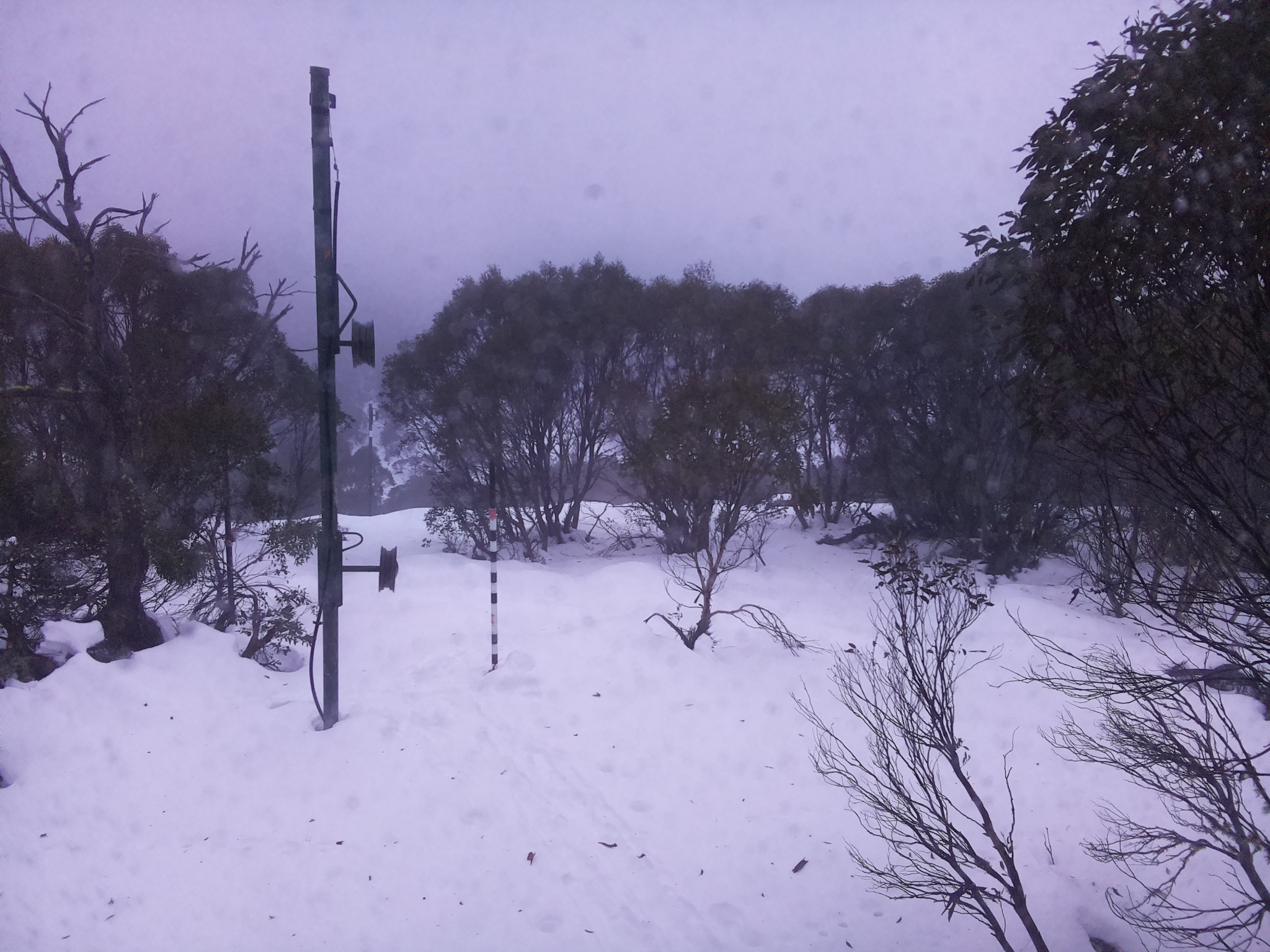 Bogong Web Cam 4:50pm Monday 23rd of June 2025
