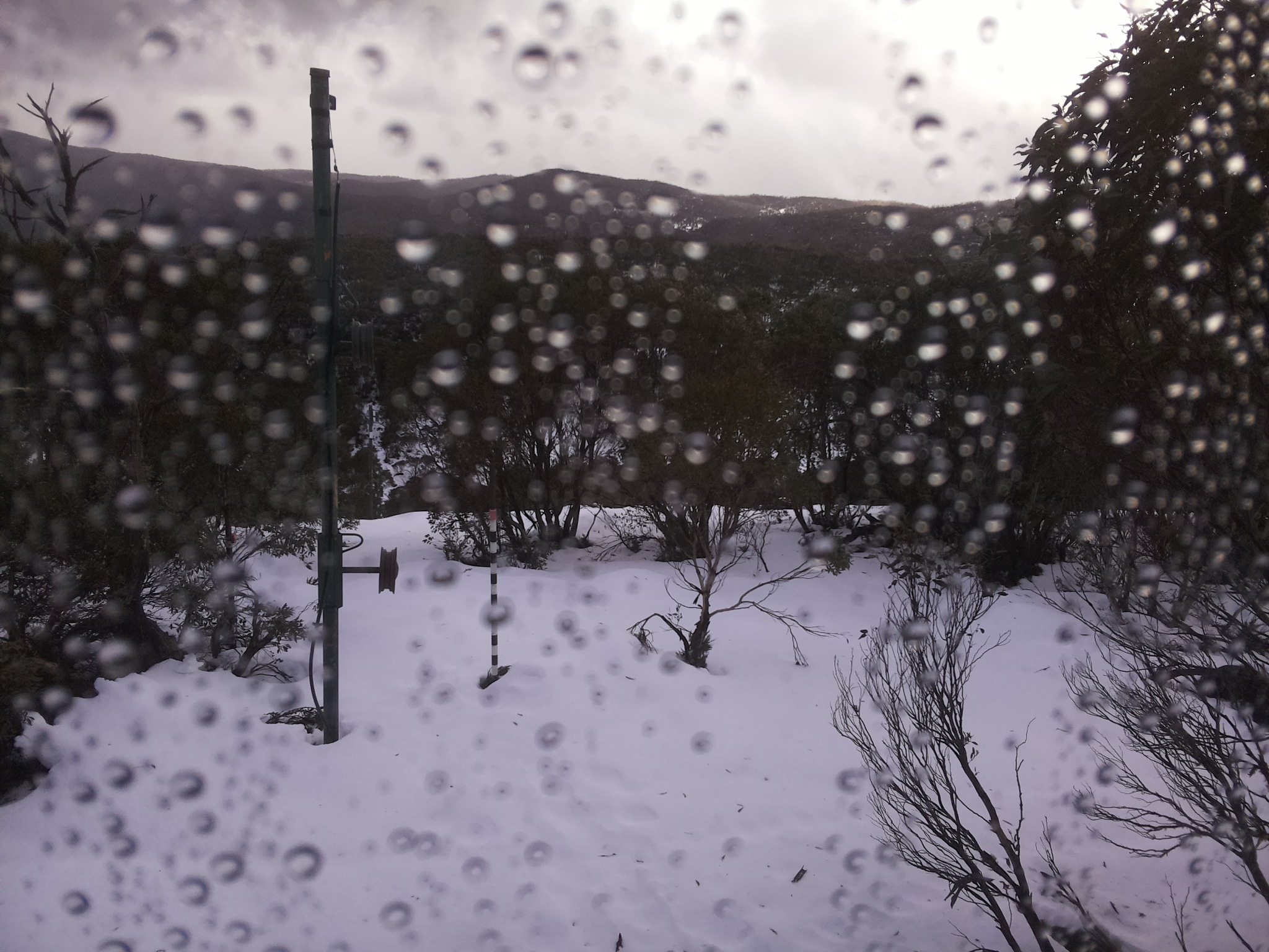 Bogong Web Cam 10:40am Tuesday 24th of June 2025
