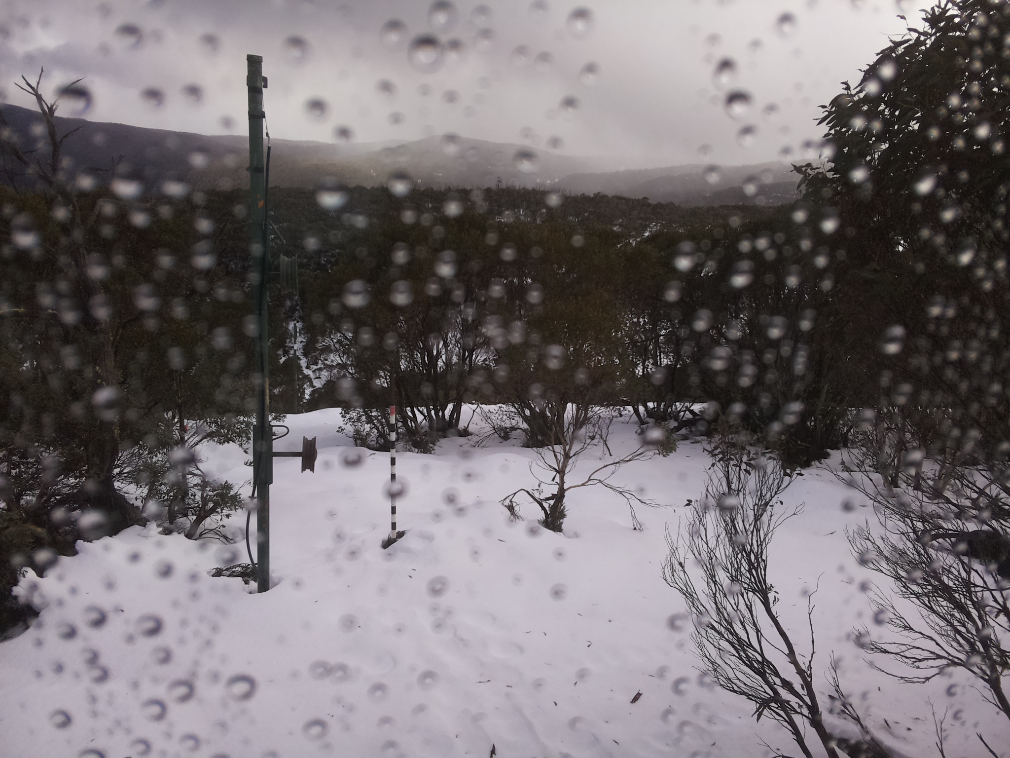 Bogong Web Cam 11:00am Tuesday 24th of June 2025