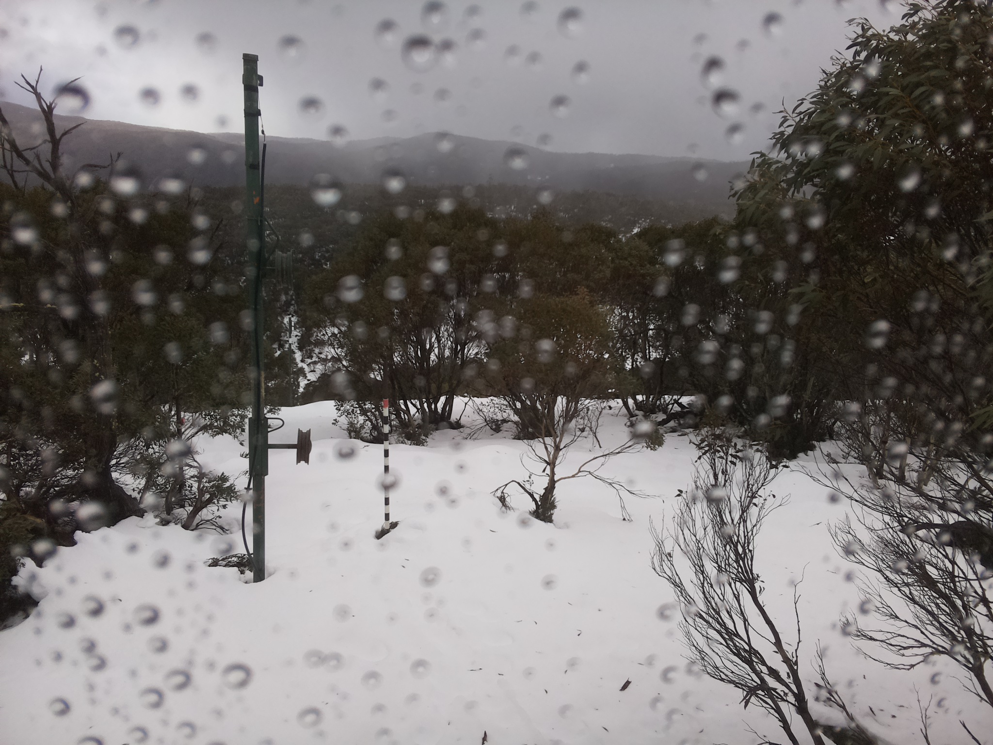 Bogong Web Cam 11:20am Tuesday 24th of June 2025