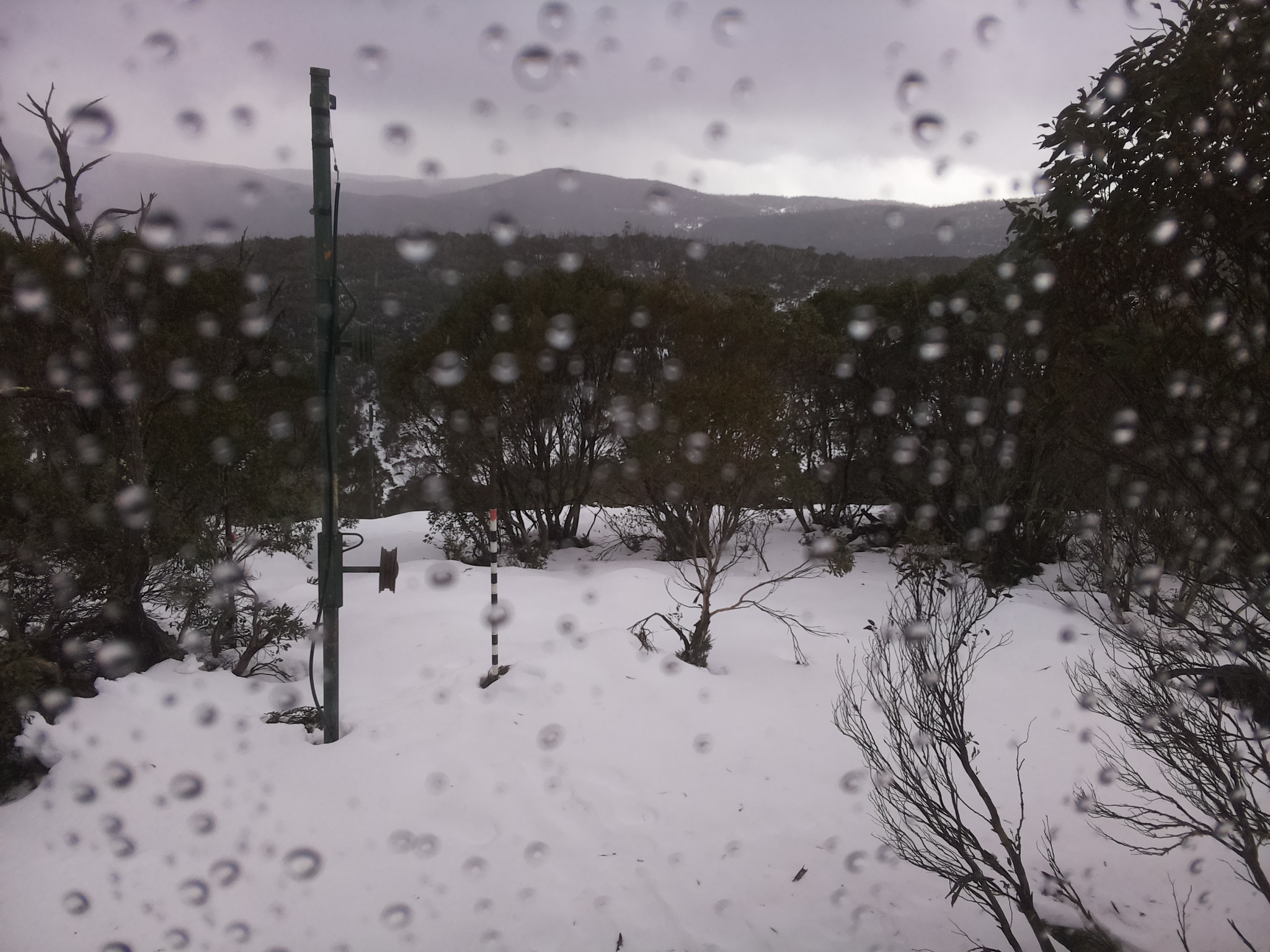 Bogong Web Cam 11:40am Tuesday 24th of June 2025