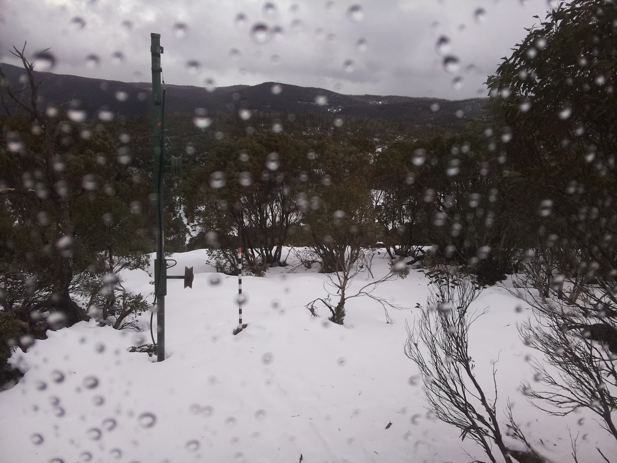 Bogong Web Cam 11:50am Tuesday 24th of June 2025