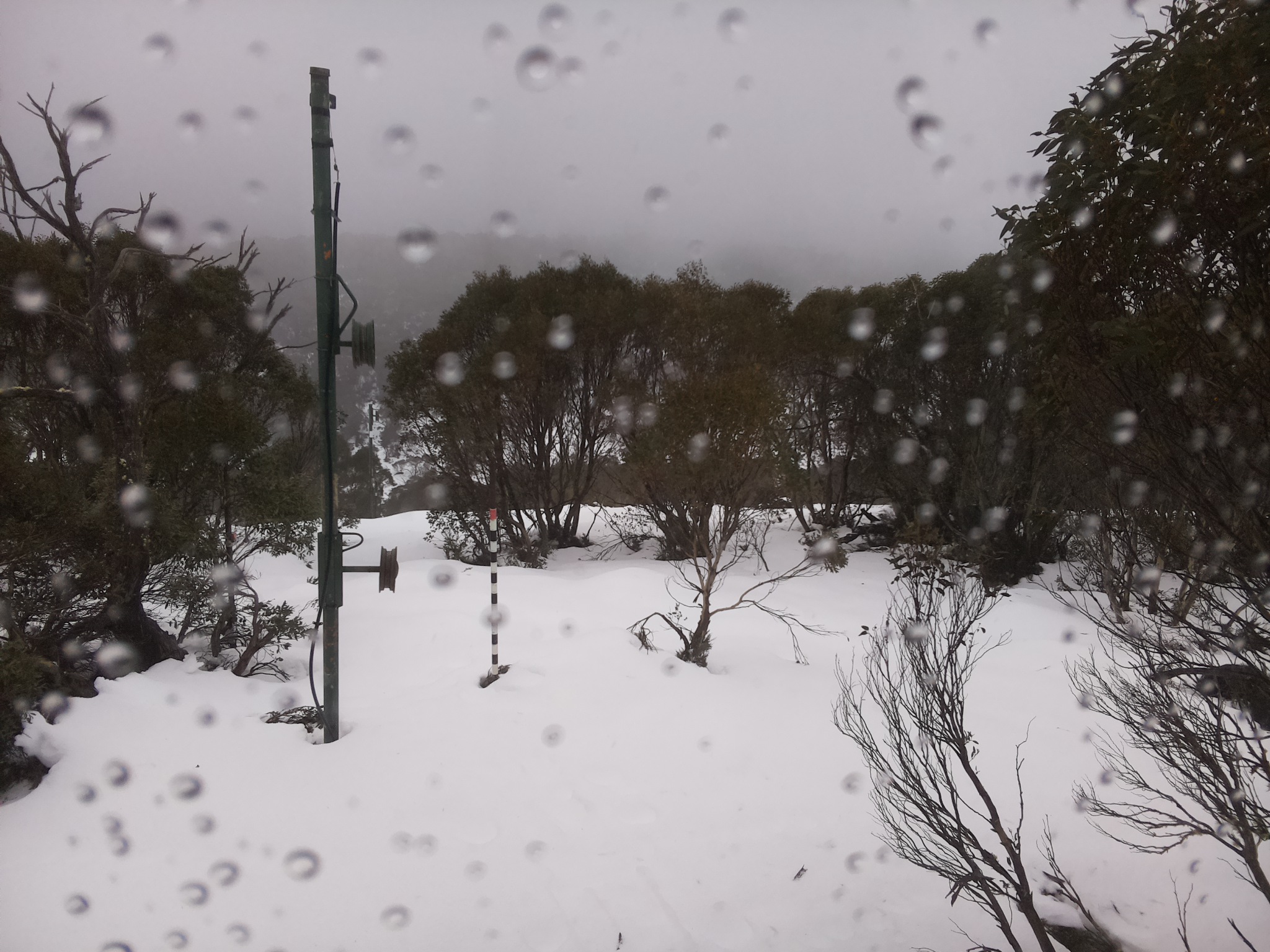 Bogong Web Cam 12:50pm Tuesday 24th of June 2025