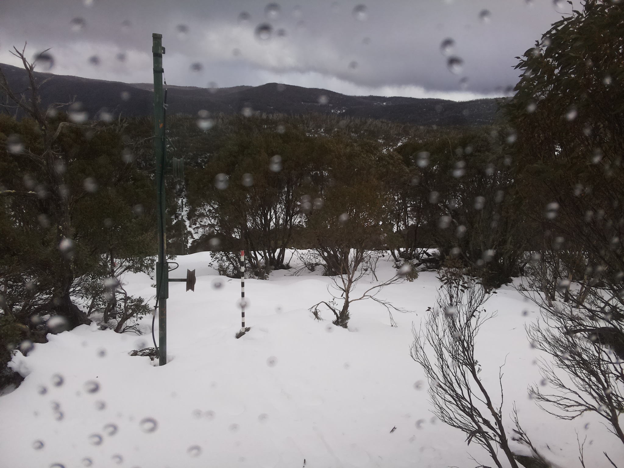 Bogong Web Cam 1:00pm Tuesday 24th of June 2025