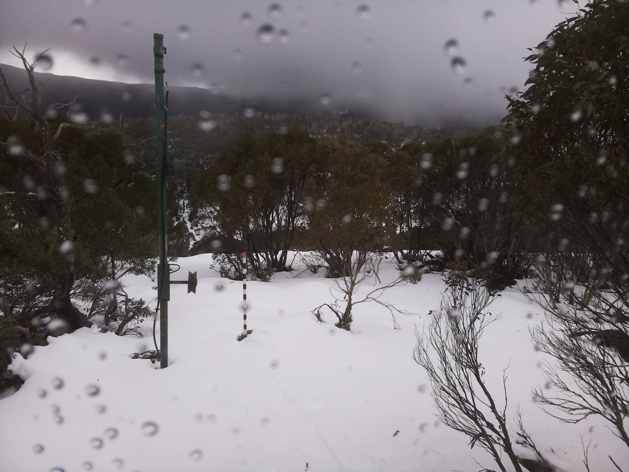 Bogong Web Cam 1:10pm Tuesday 24th of June 2025