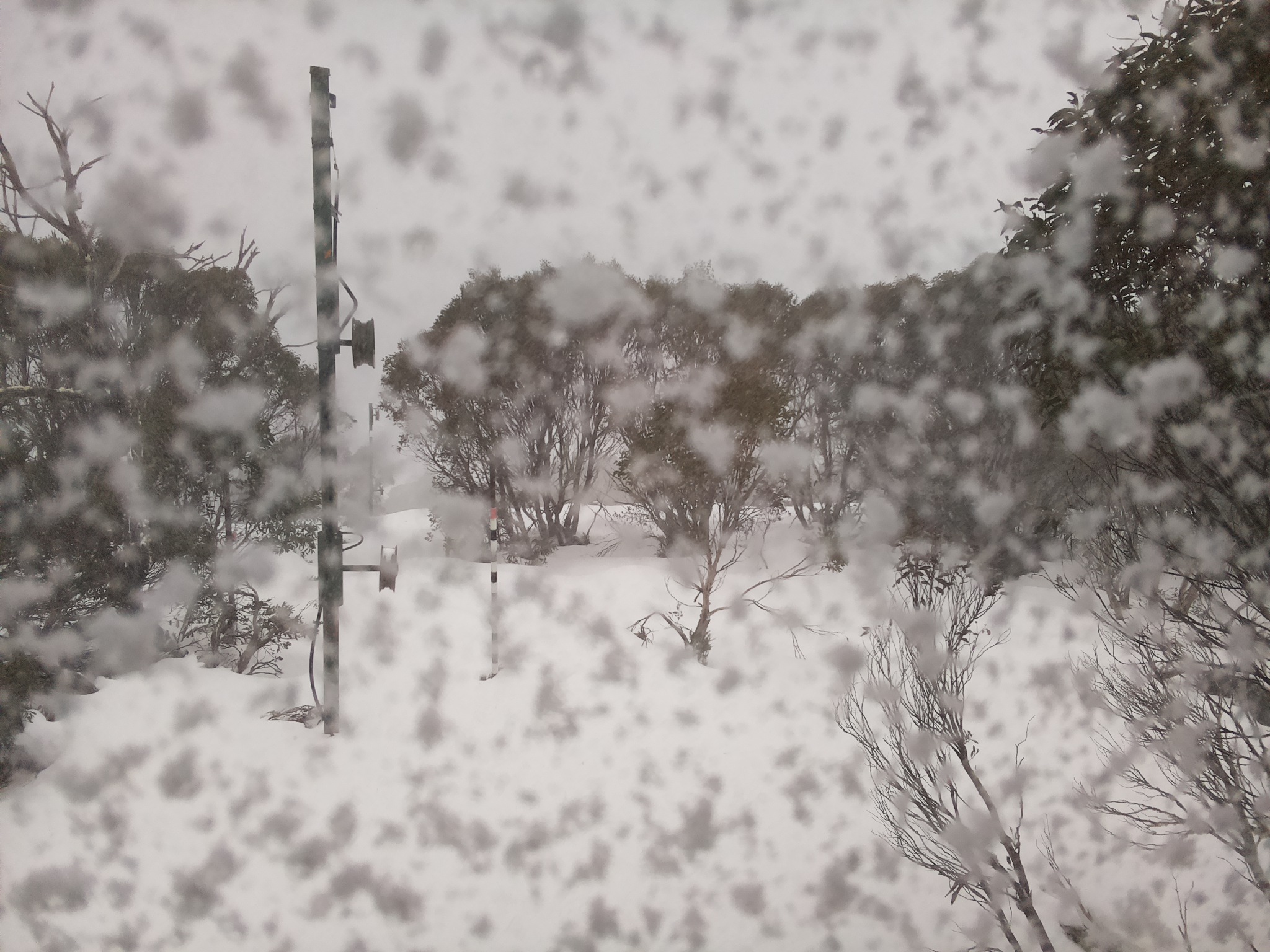 Bogong Web Cam 4:30pm Tuesday 24th of June 2025