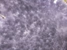 Thumbnail 11:20am Wednesday 25th of June 2025