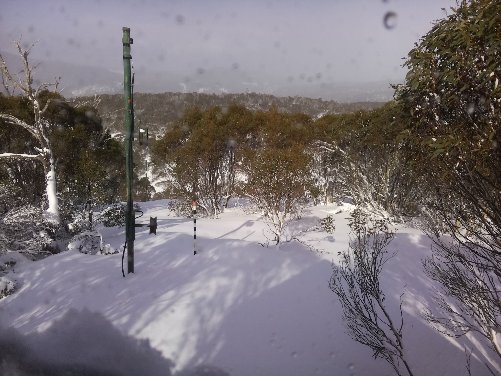 Bogong Web Cam 12:30pm Wednesday 25th of June 2025