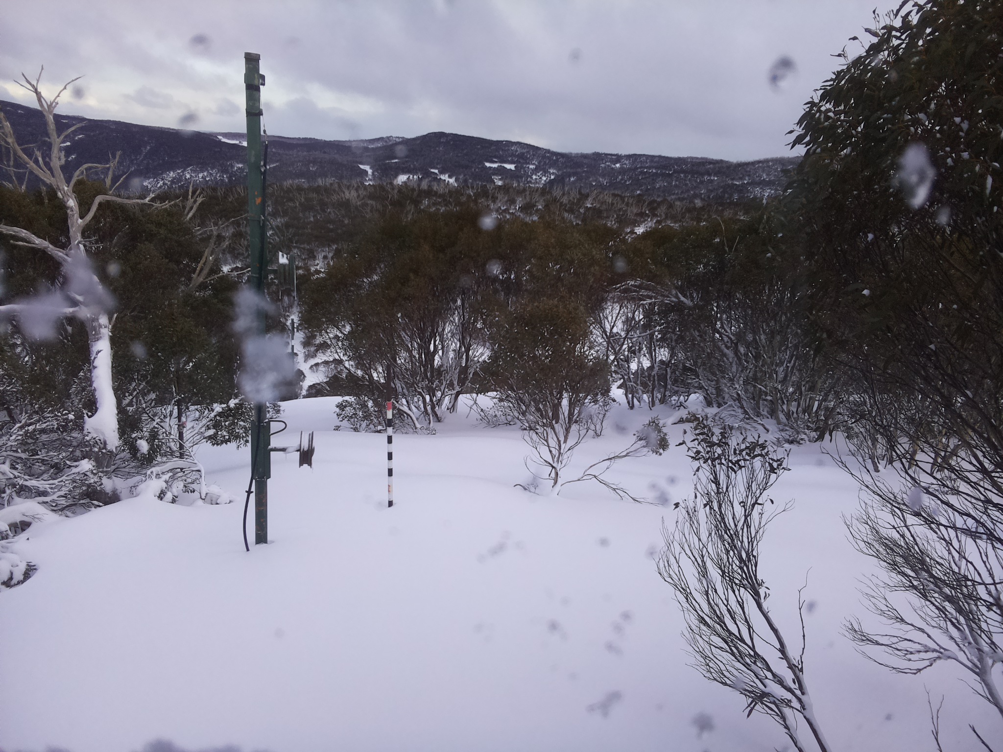 Bogong Web Cam 4:00pm Wednesday 25th of June 2025