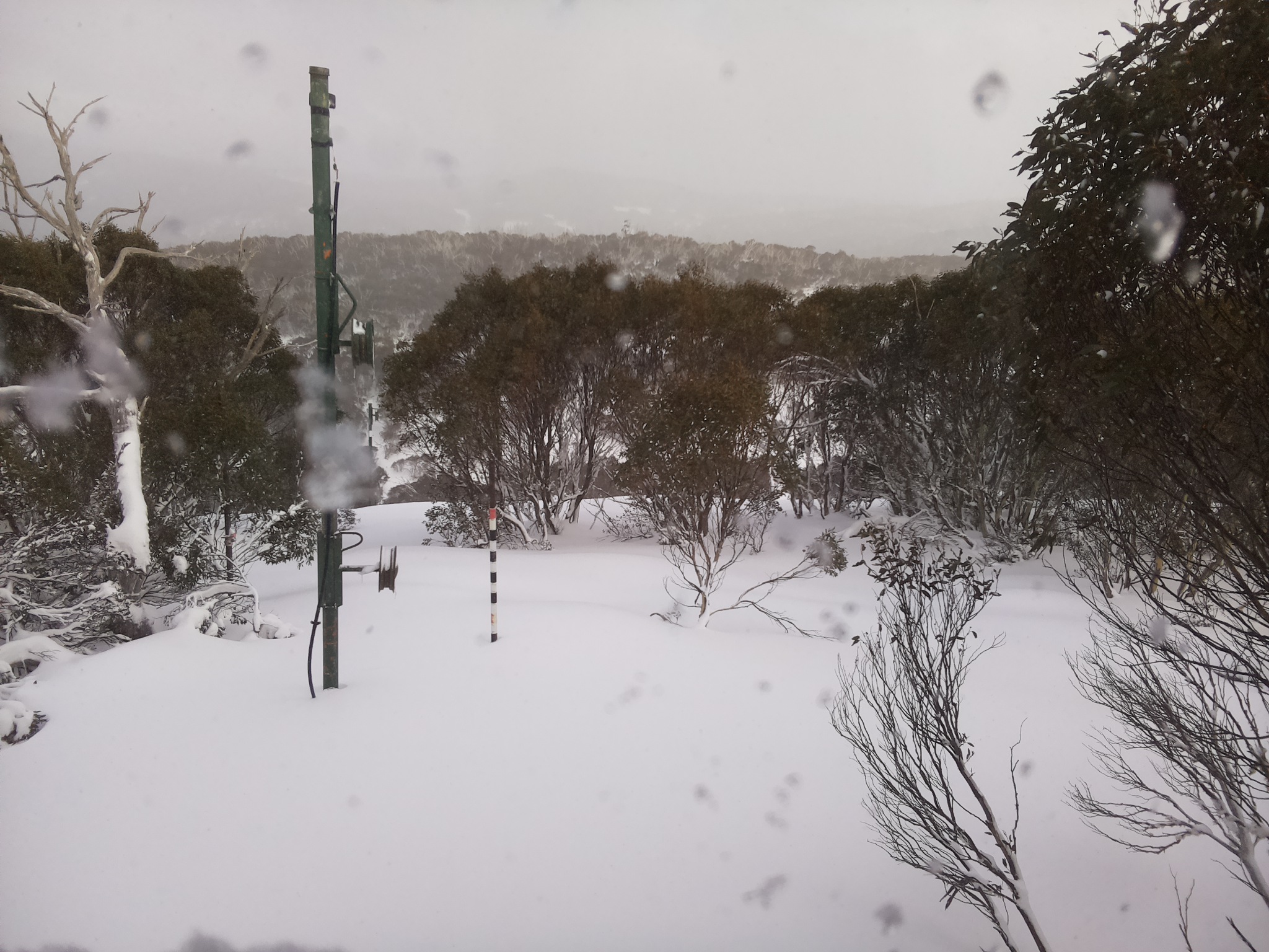 Bogong Web Cam 4:10pm Wednesday 25th of June 2025