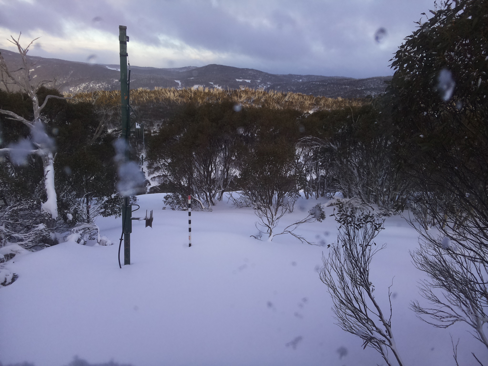 Bogong Web Cam 4:20pm Wednesday 25th of June 2025