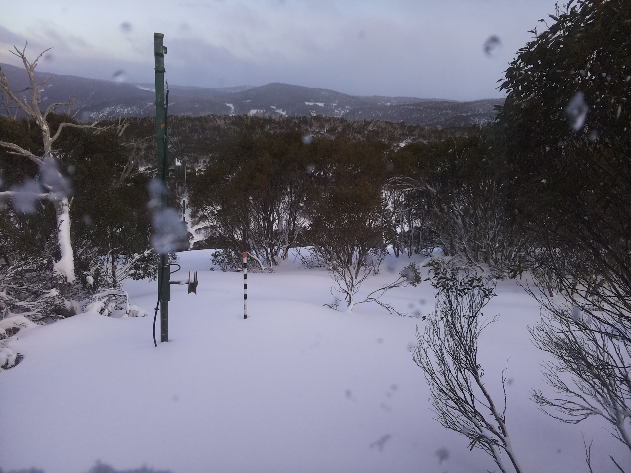 Bogong Web Cam 4:30pm Wednesday 25th of June 2025
