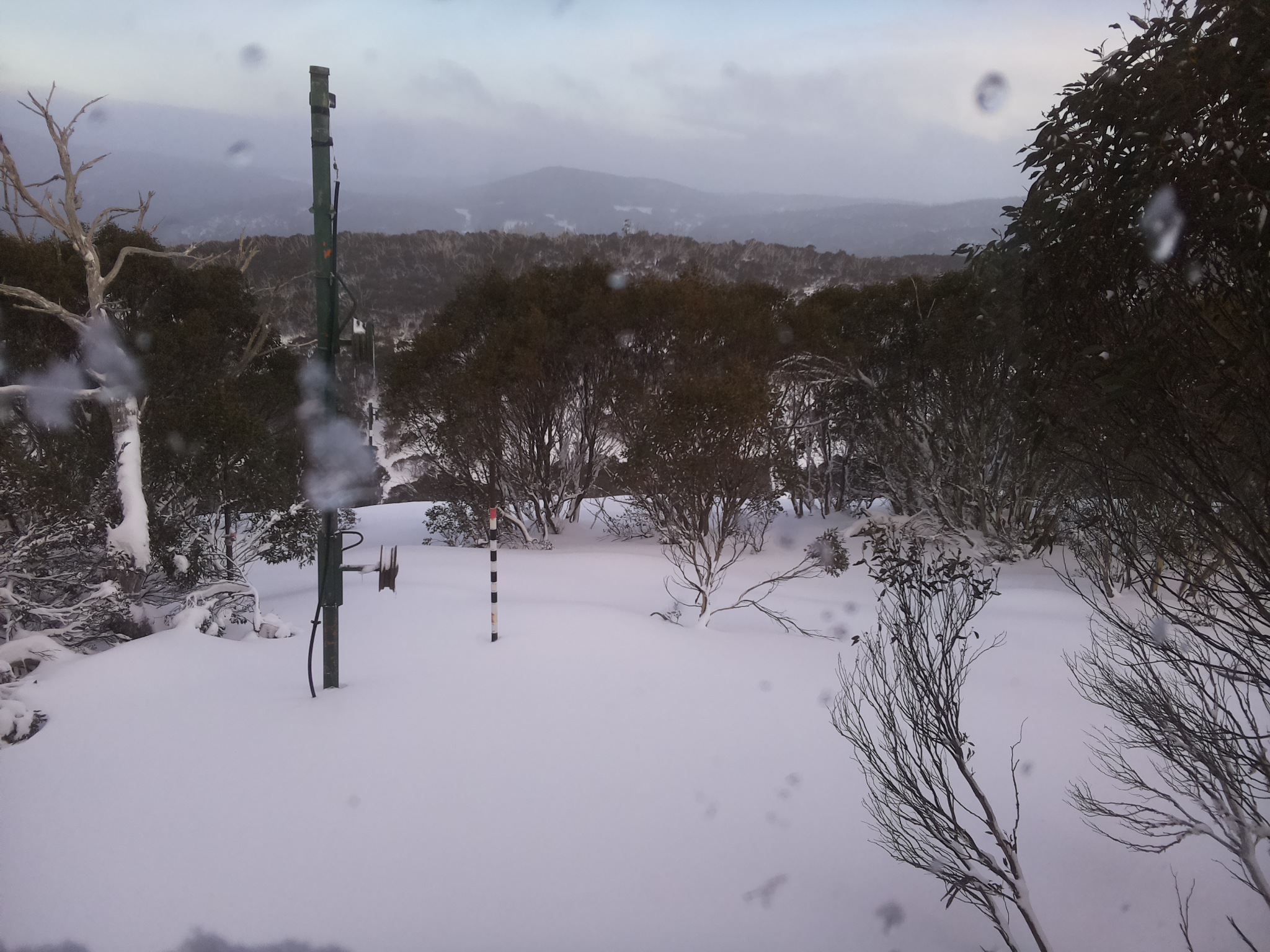 Bogong Web Cam 4:40pm Wednesday 25th of June 2025