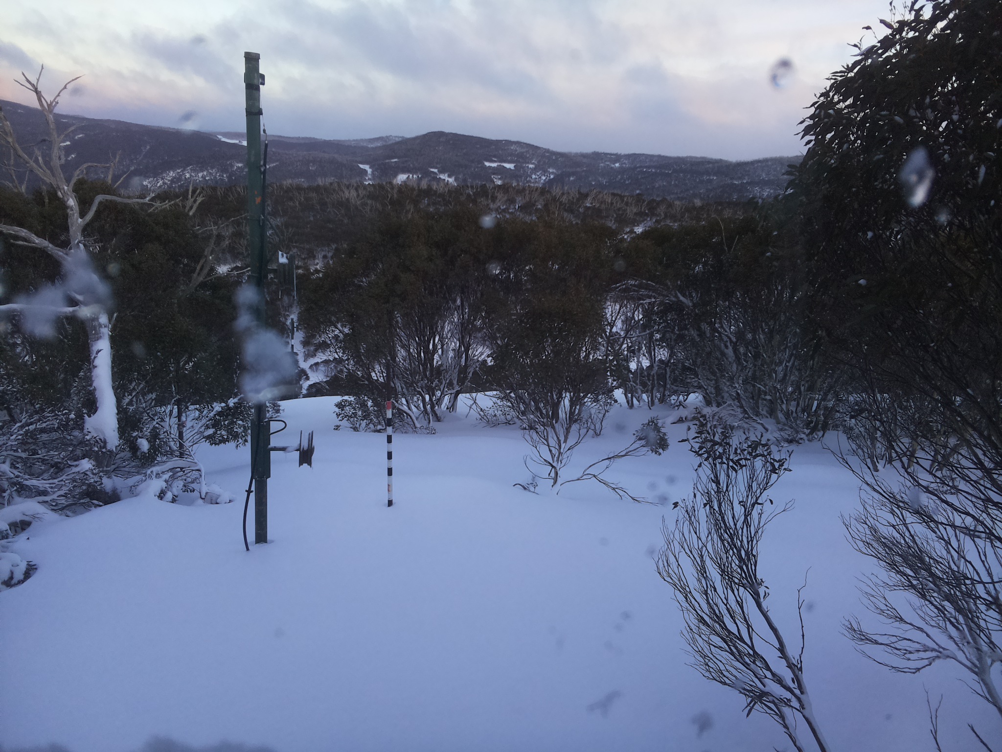 Bogong Web Cam 4:50pm Wednesday 25th of June 2025