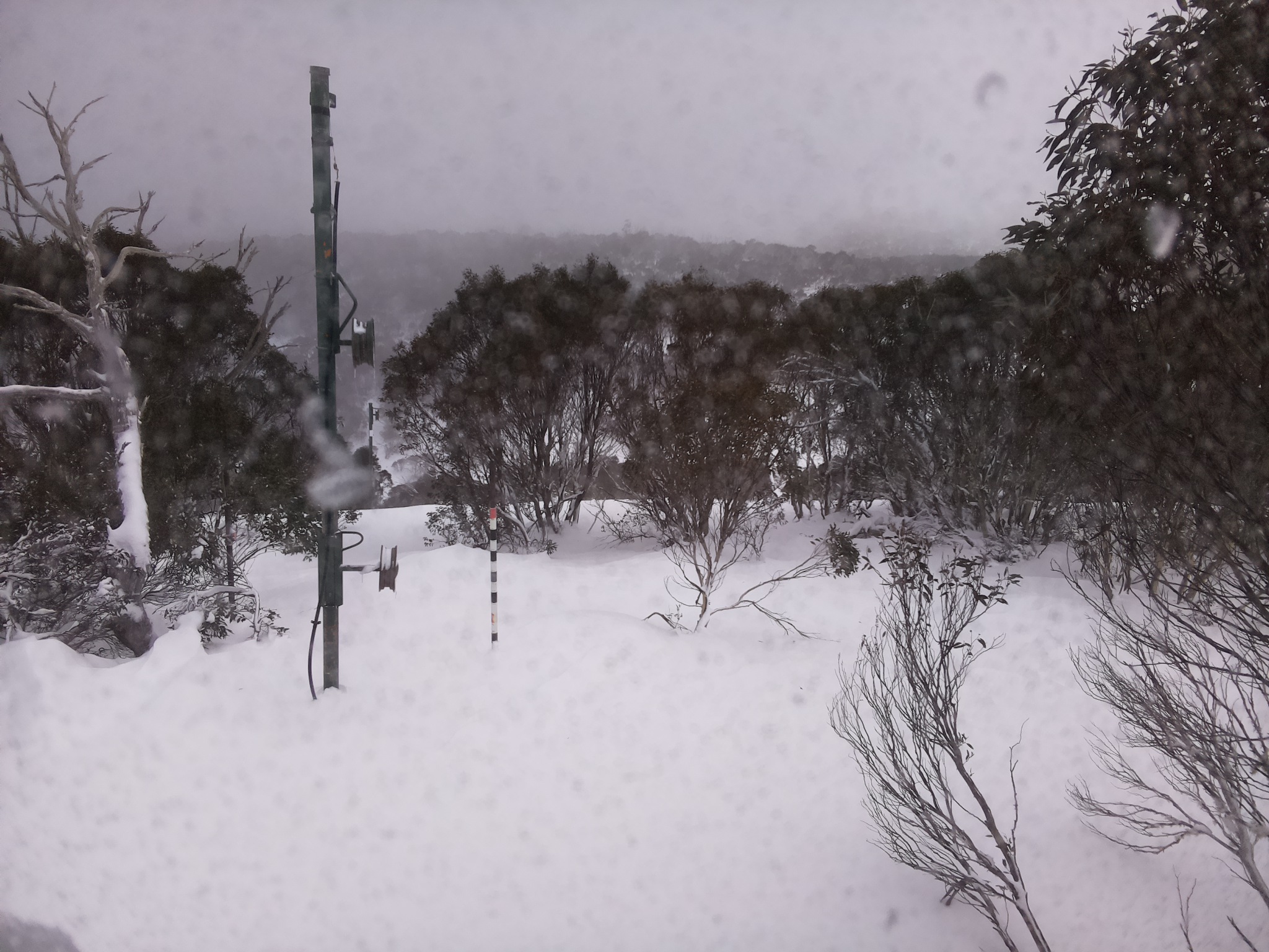 Bogong Web Cam 9:30am Thursday 26th of June 2025