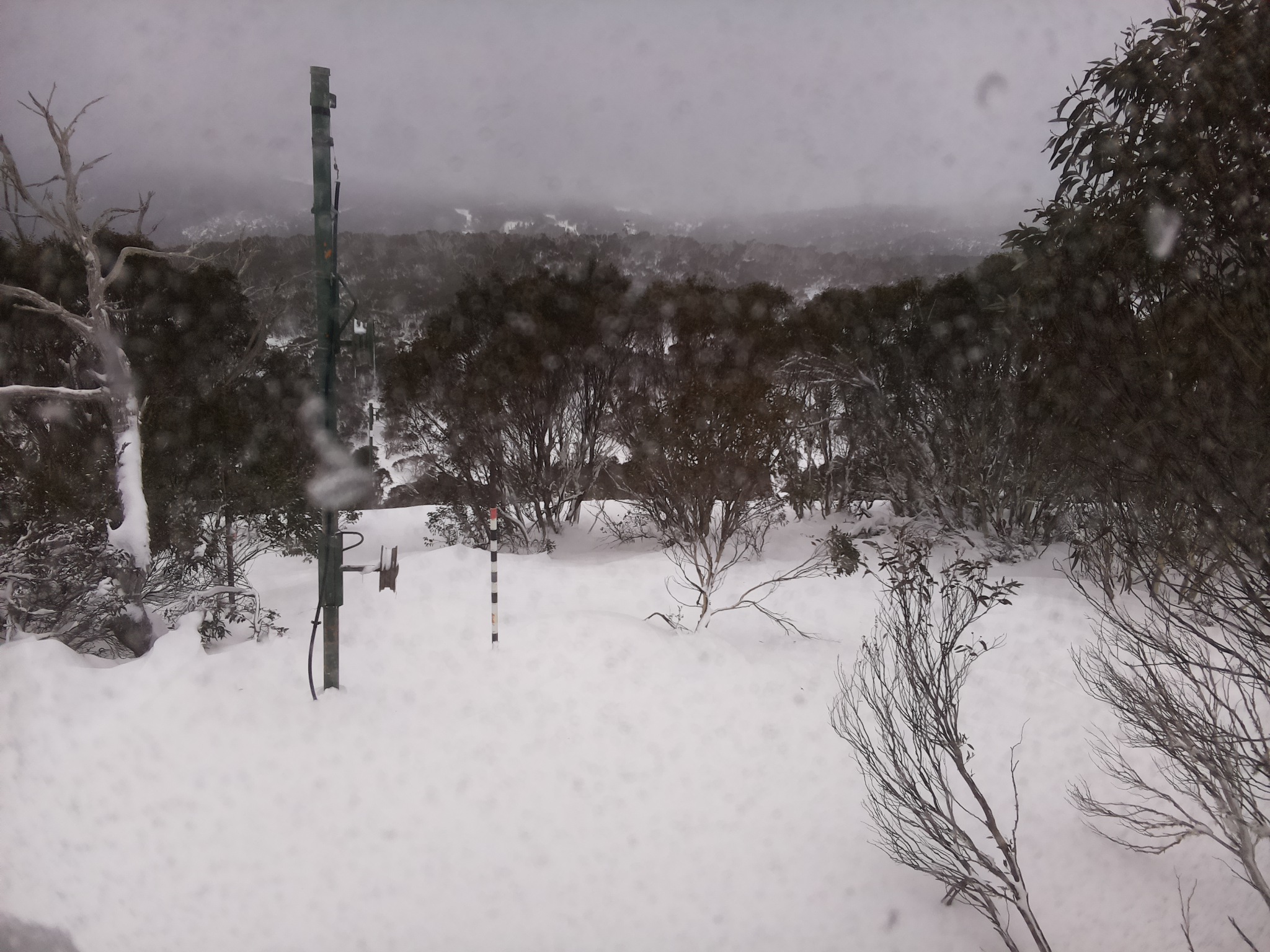 Bogong Web Cam 9:40am Thursday 26th of June 2025
