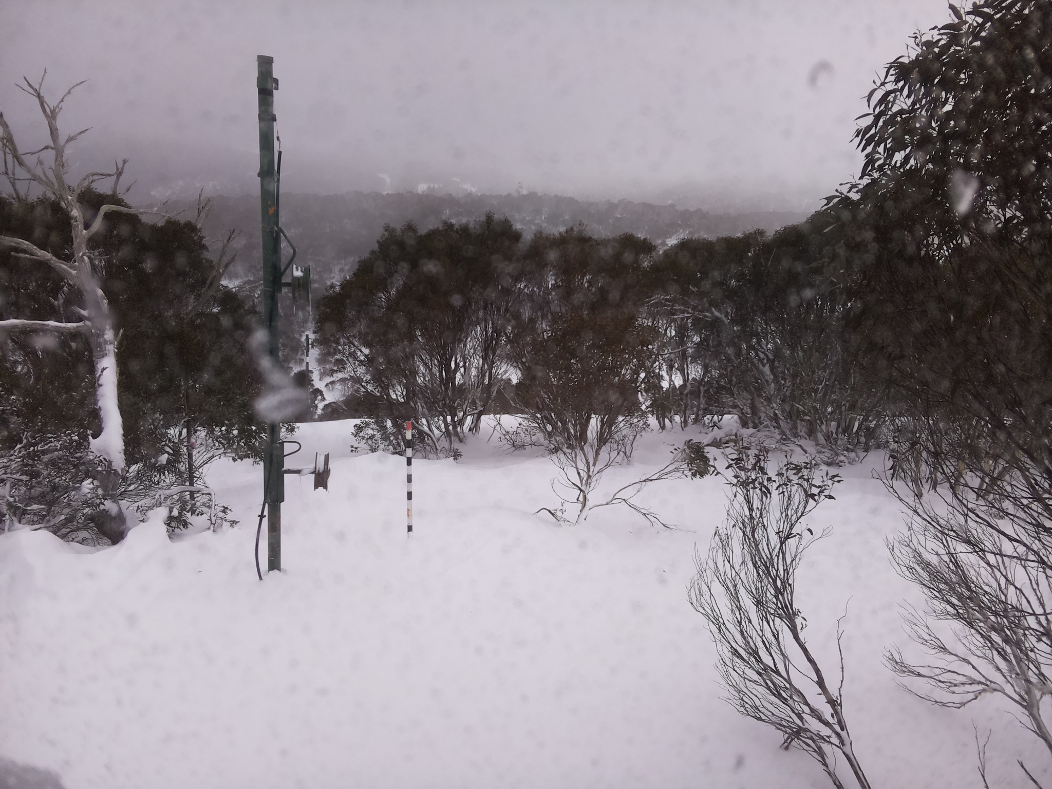 Bogong Web Cam 10:00am Thursday 26th of June 2025