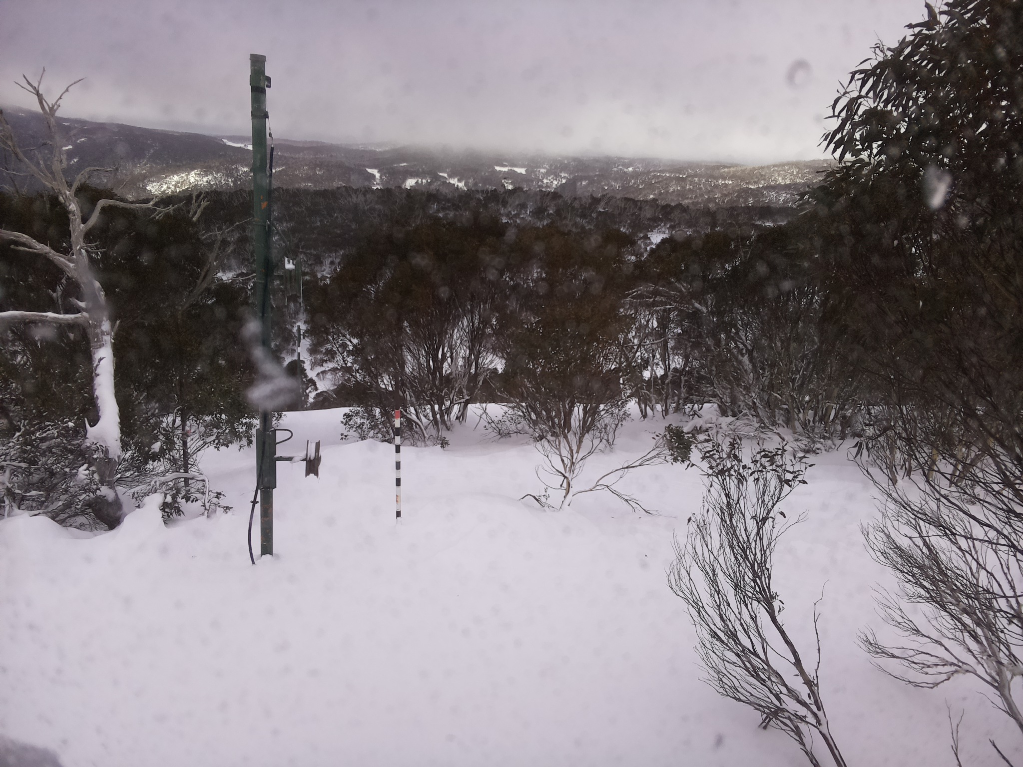 Bogong Web Cam 10:20am Thursday 26th of June 2025