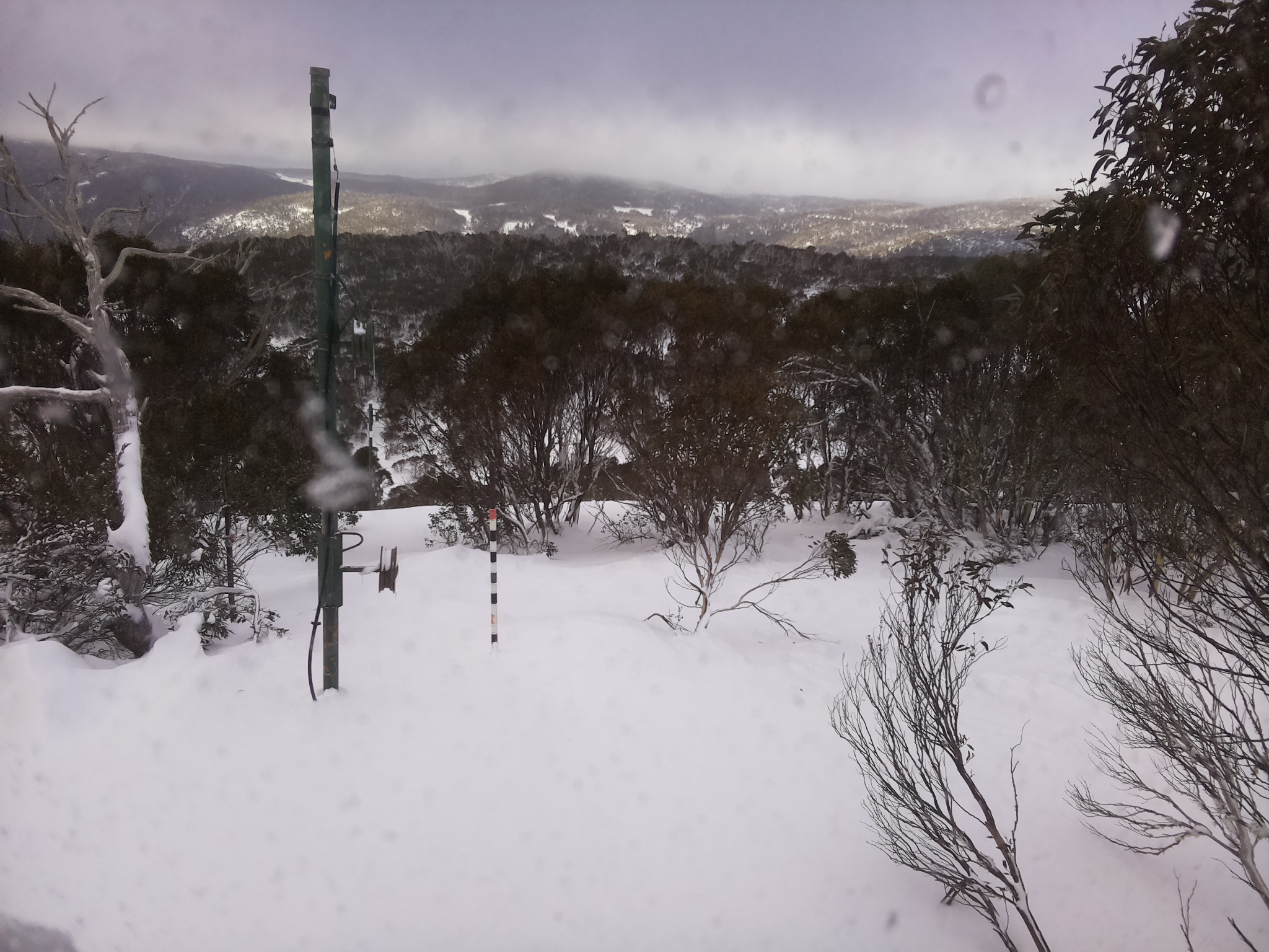 Bogong Web Cam 10:30am Thursday 26th of June 2025