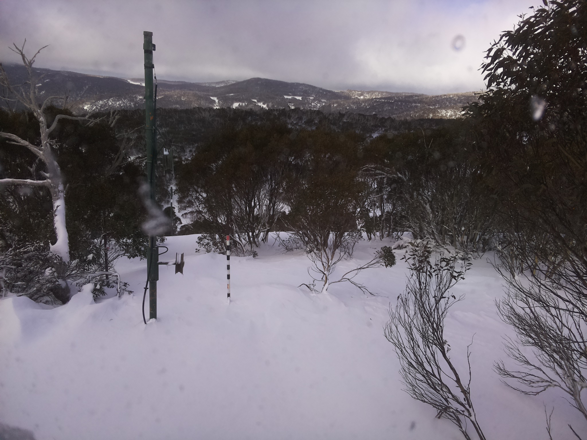 Bogong Web Cam 10:40am Thursday 26th of June 2025