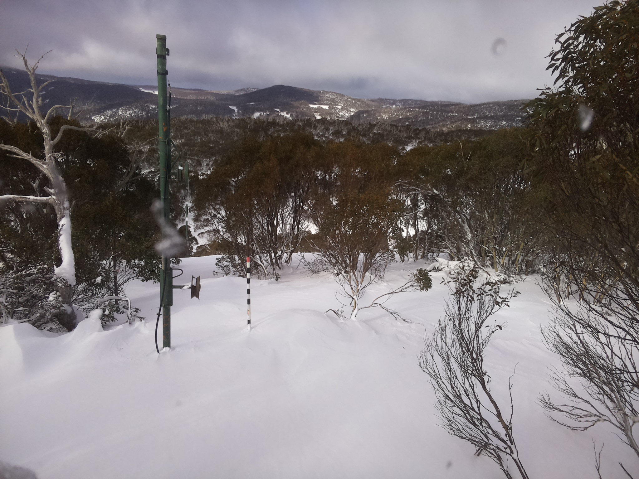 Bogong Web Cam 11:00am Thursday 26th of June 2025