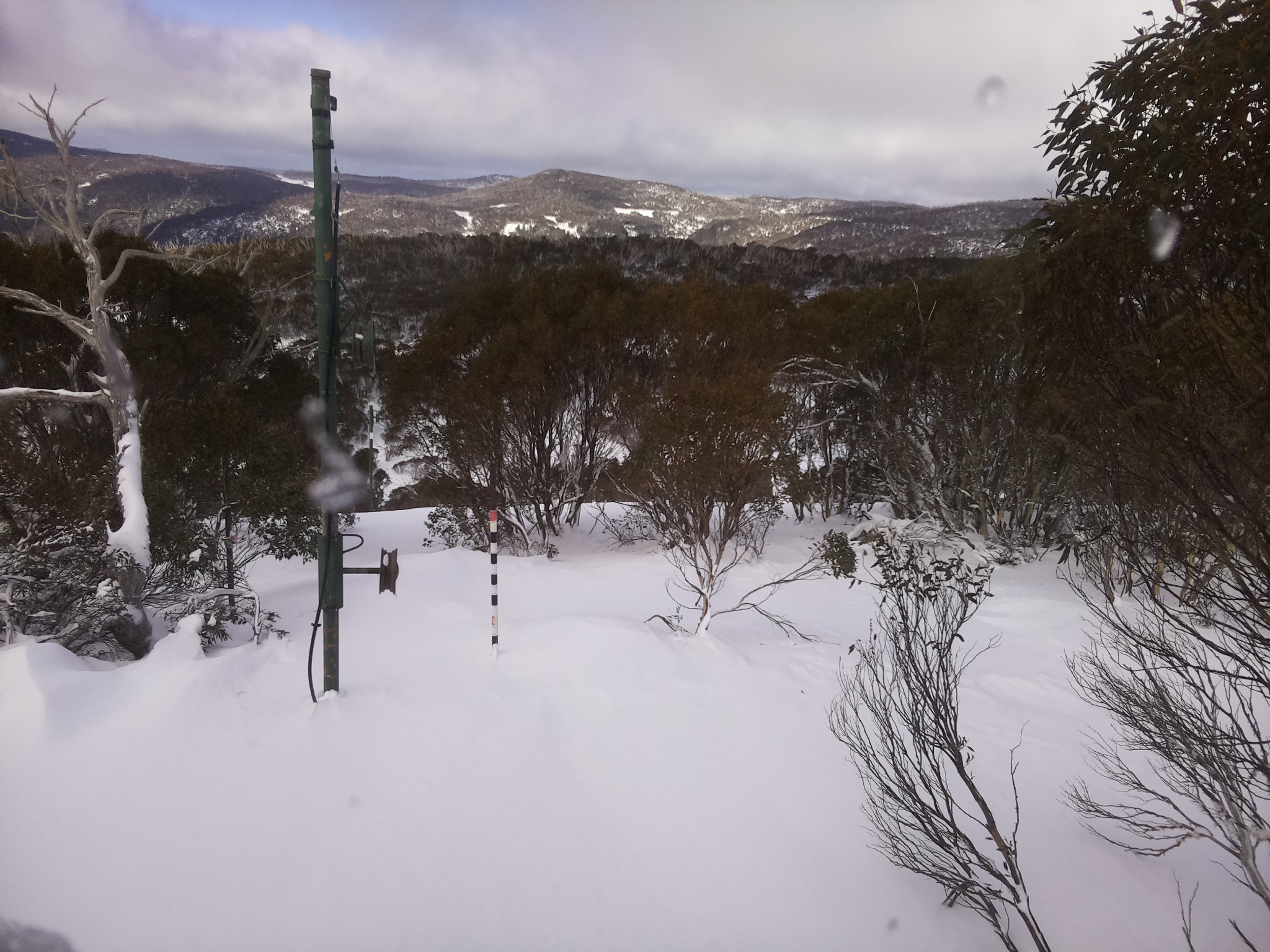 Bogong Web Cam 11:10am Thursday 26th of June 2025