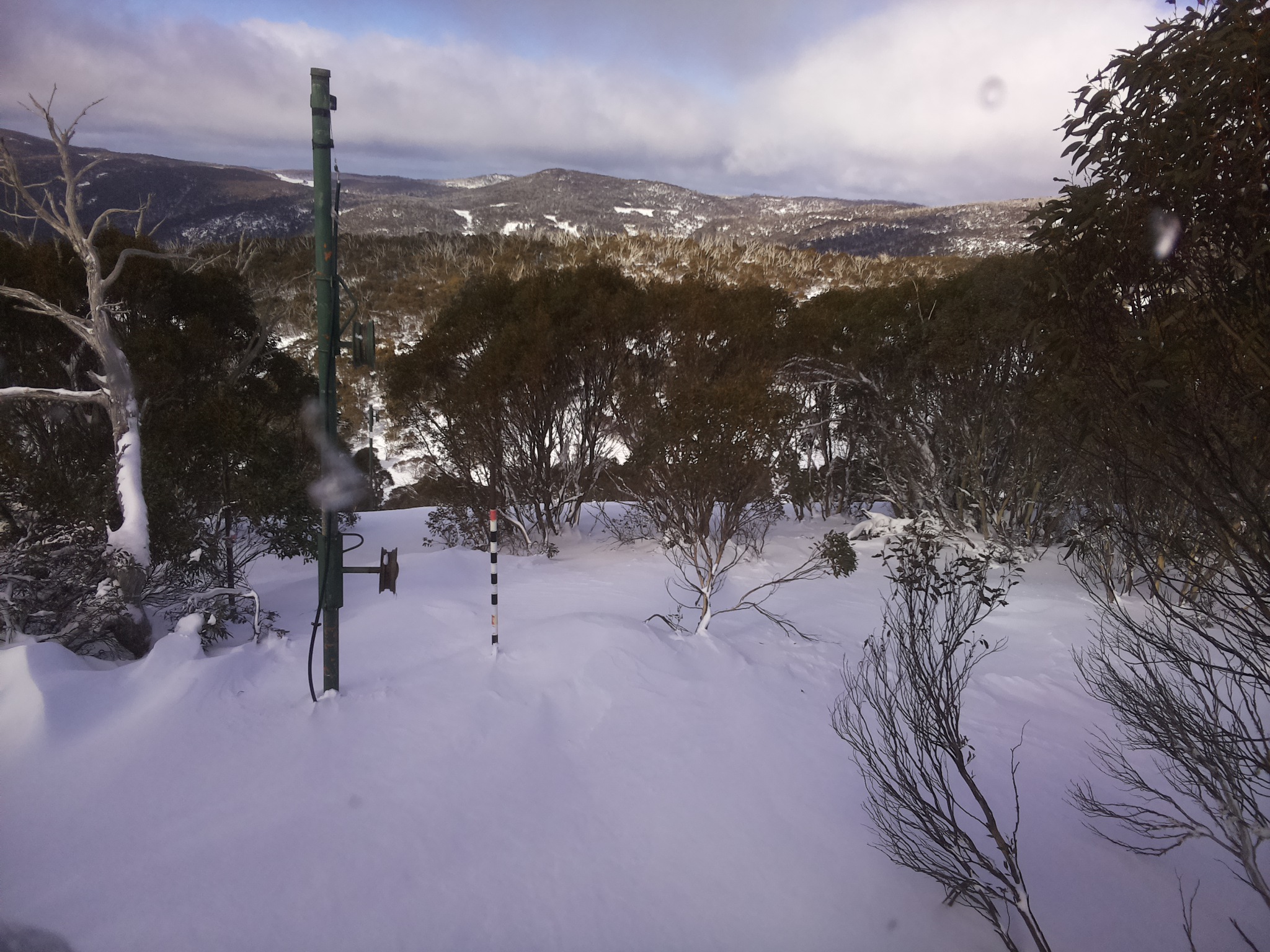 Bogong Web Cam 11:20am Thursday 26th of June 2025