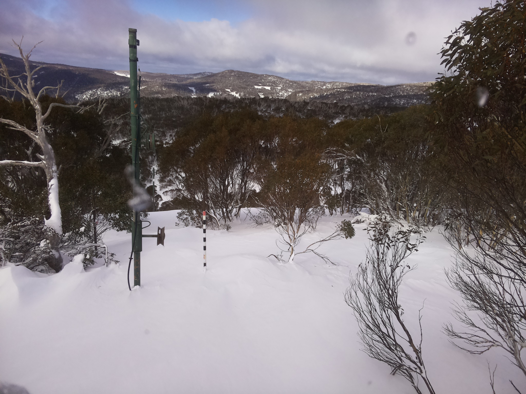 Bogong Web Cam 11:30am Thursday 26th of June 2025