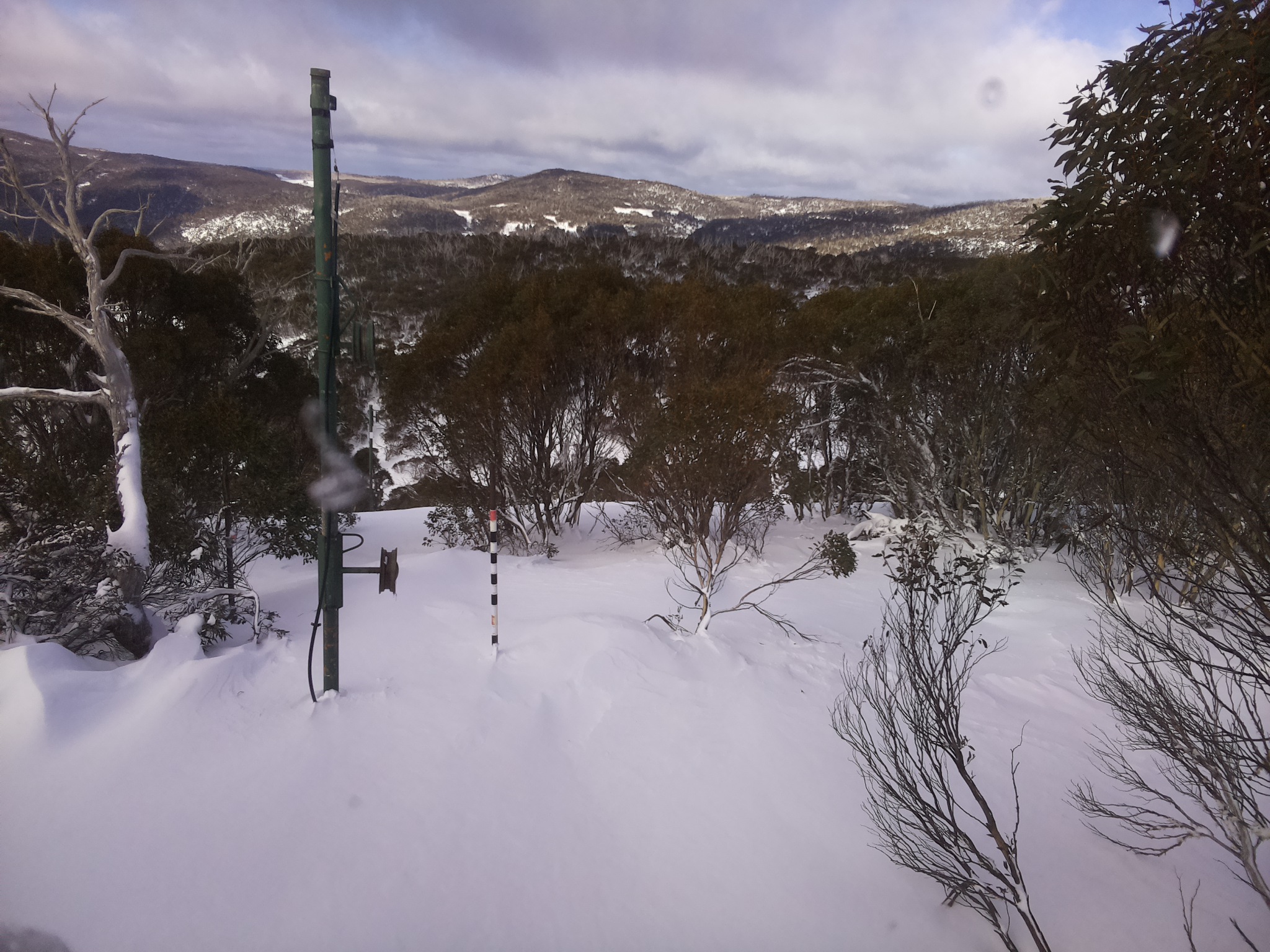 Bogong Web Cam 11:40am Thursday 26th of June 2025