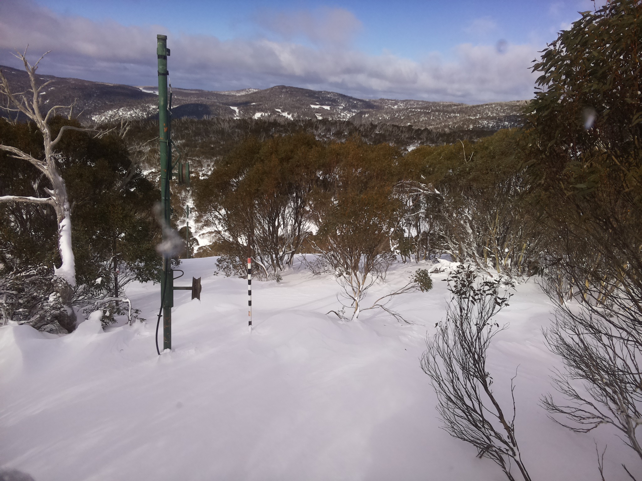 Bogong Web Cam 11:50am Thursday 26th of June 2025