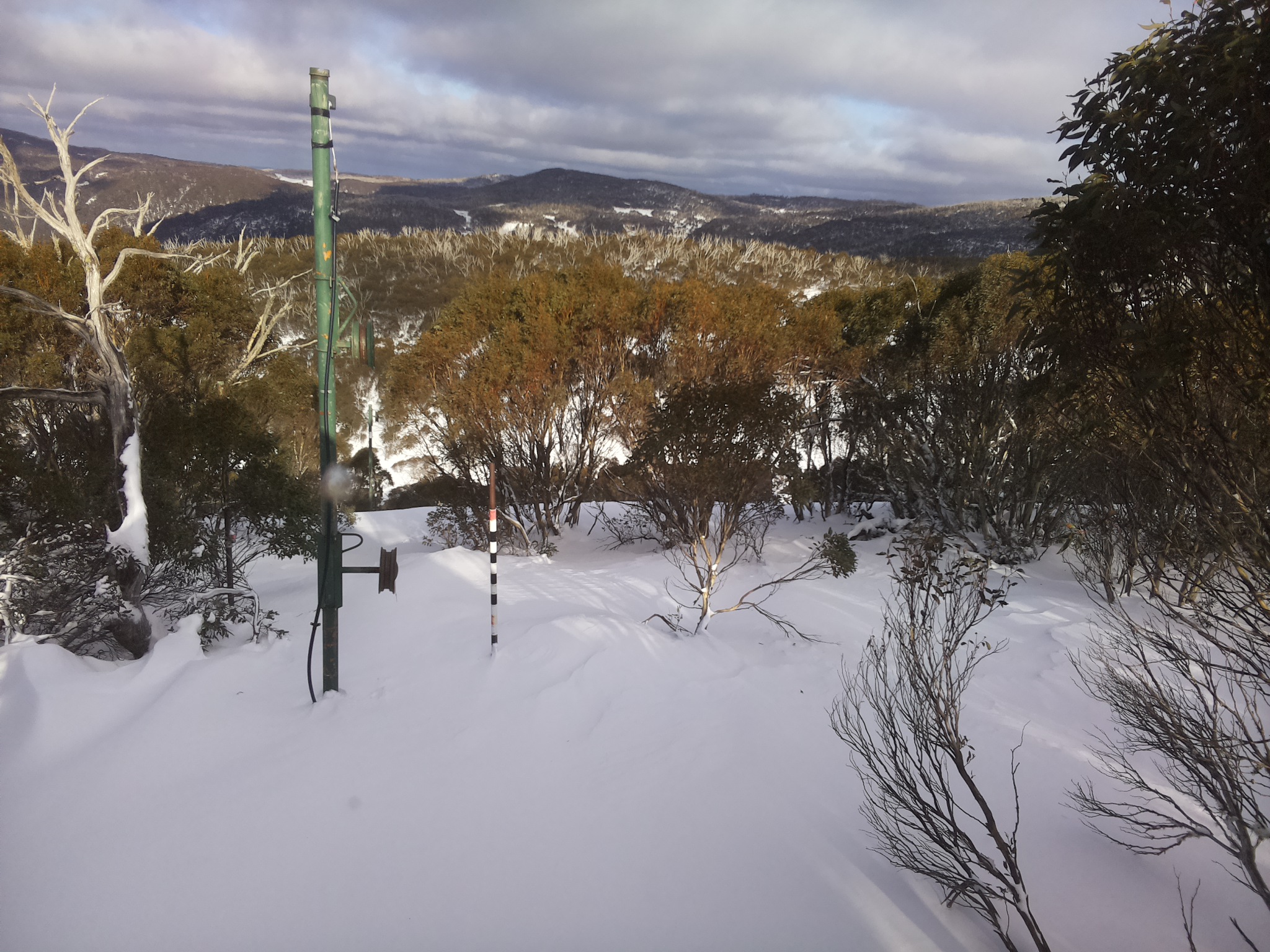 Bogong Web Cam 2:50pm Thursday 26th of June 2025