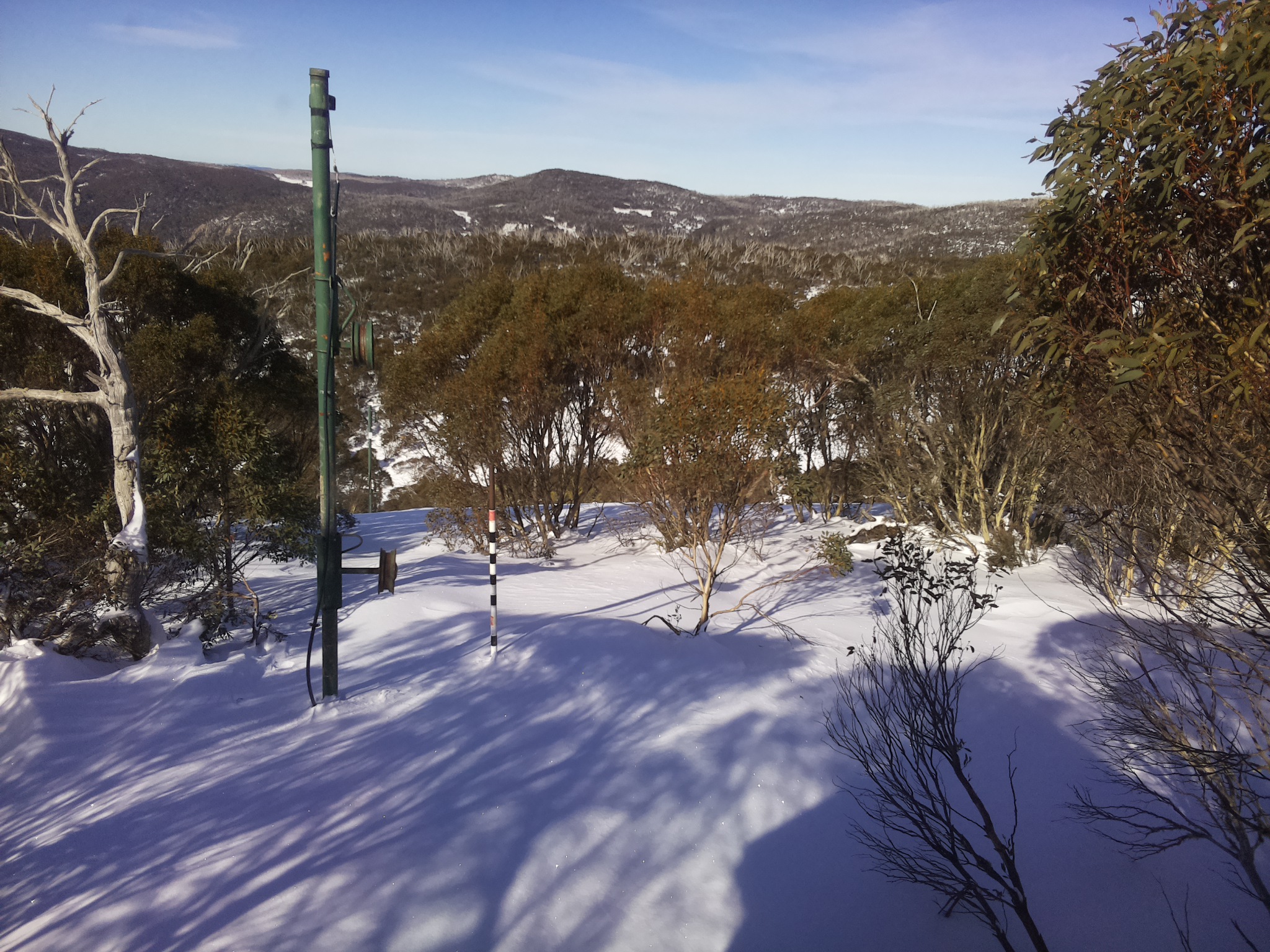 Bogong Web Cam 11:50am Saturday 28th of June 2025