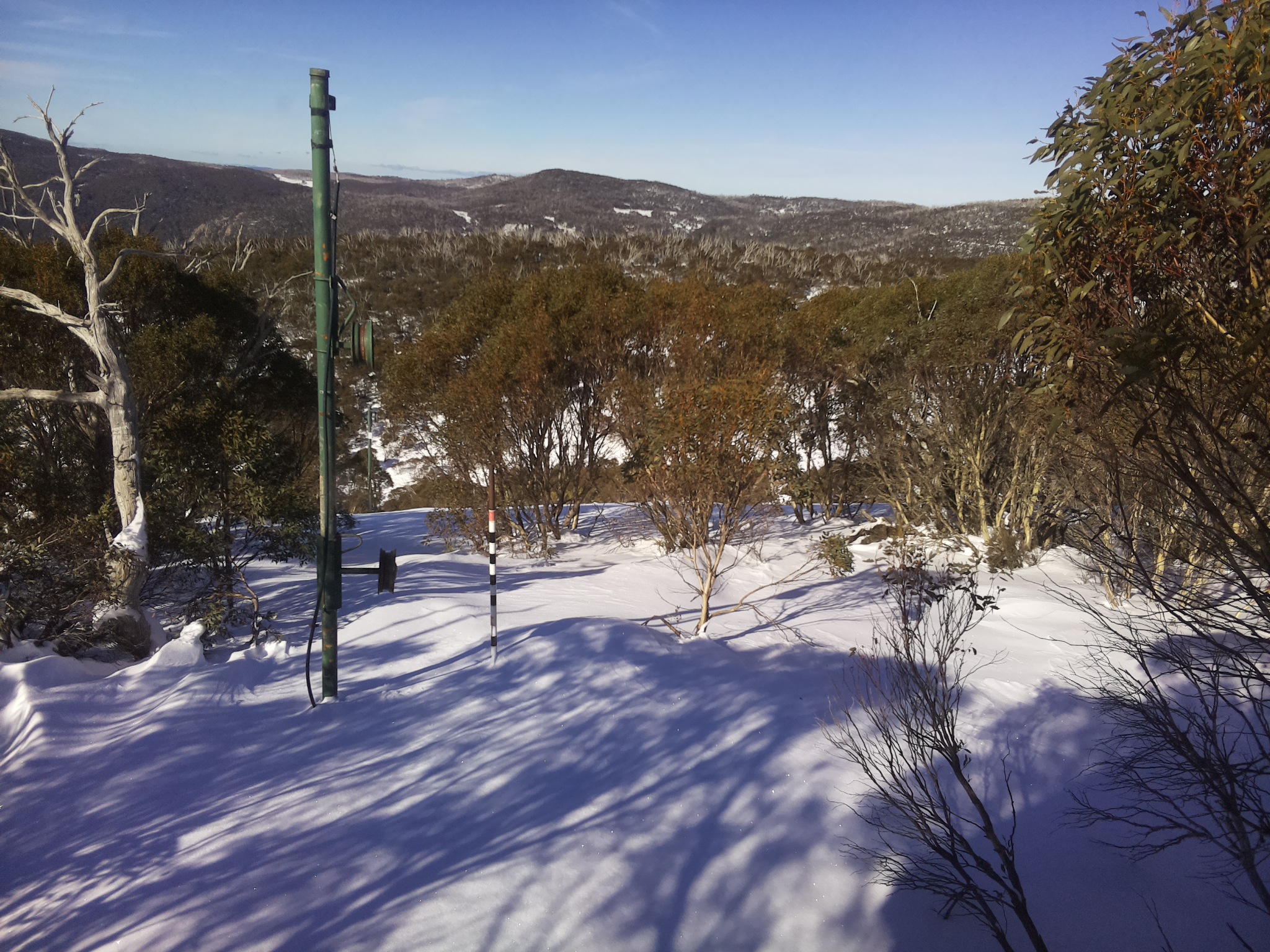 Bogong Web Cam 11:20am Sunday 29th of June 2025