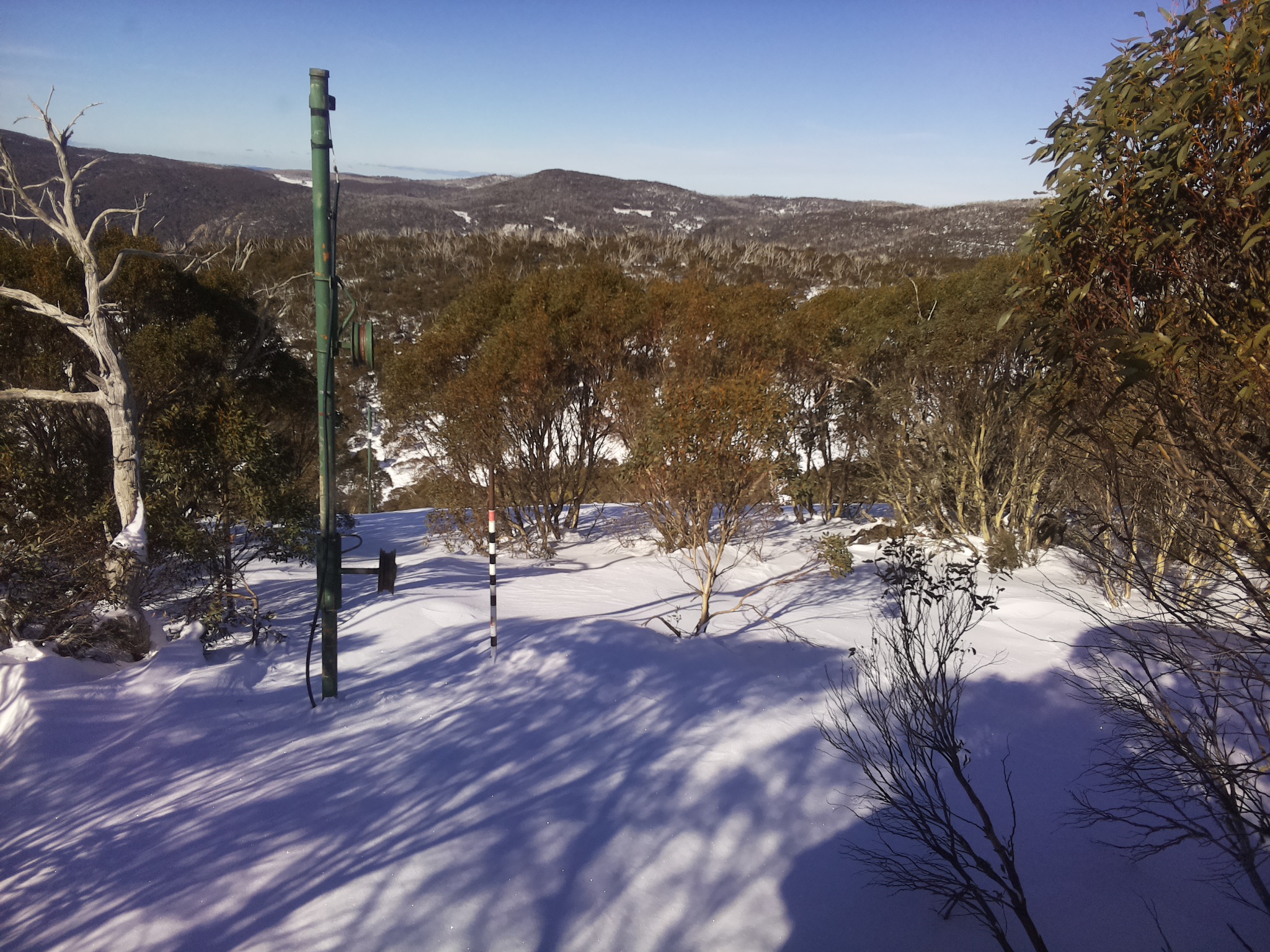Bogong Web Cam 11:40am Sunday 29th of June 2025