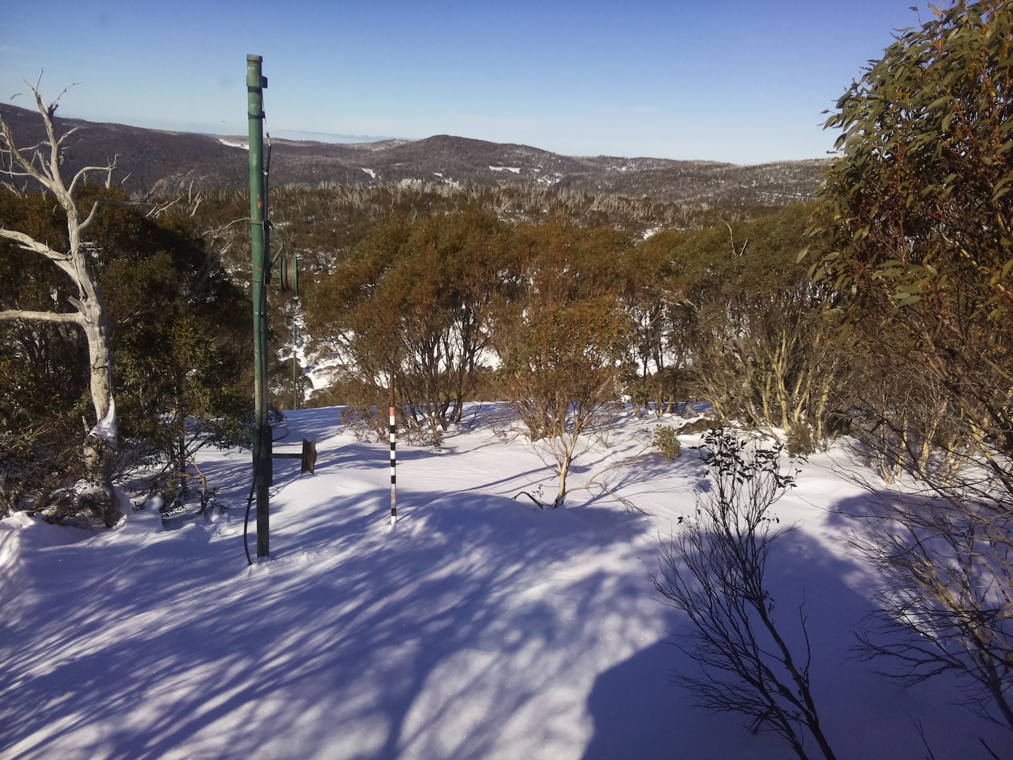 Bogong Web Cam 11:50am Sunday 29th of June 2025