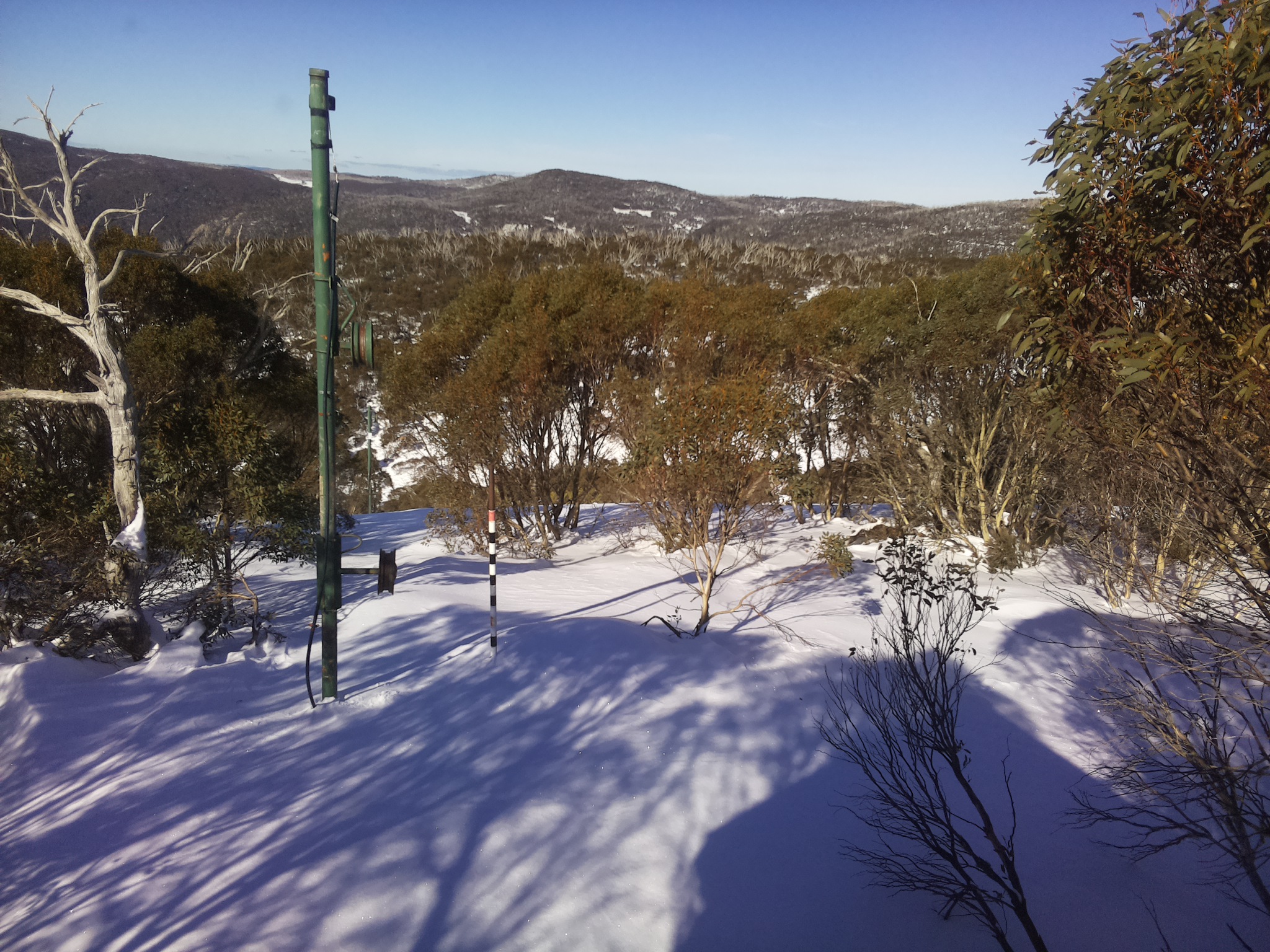 Bogong Web Cam 12:00pm Sunday 29th of June 2025
