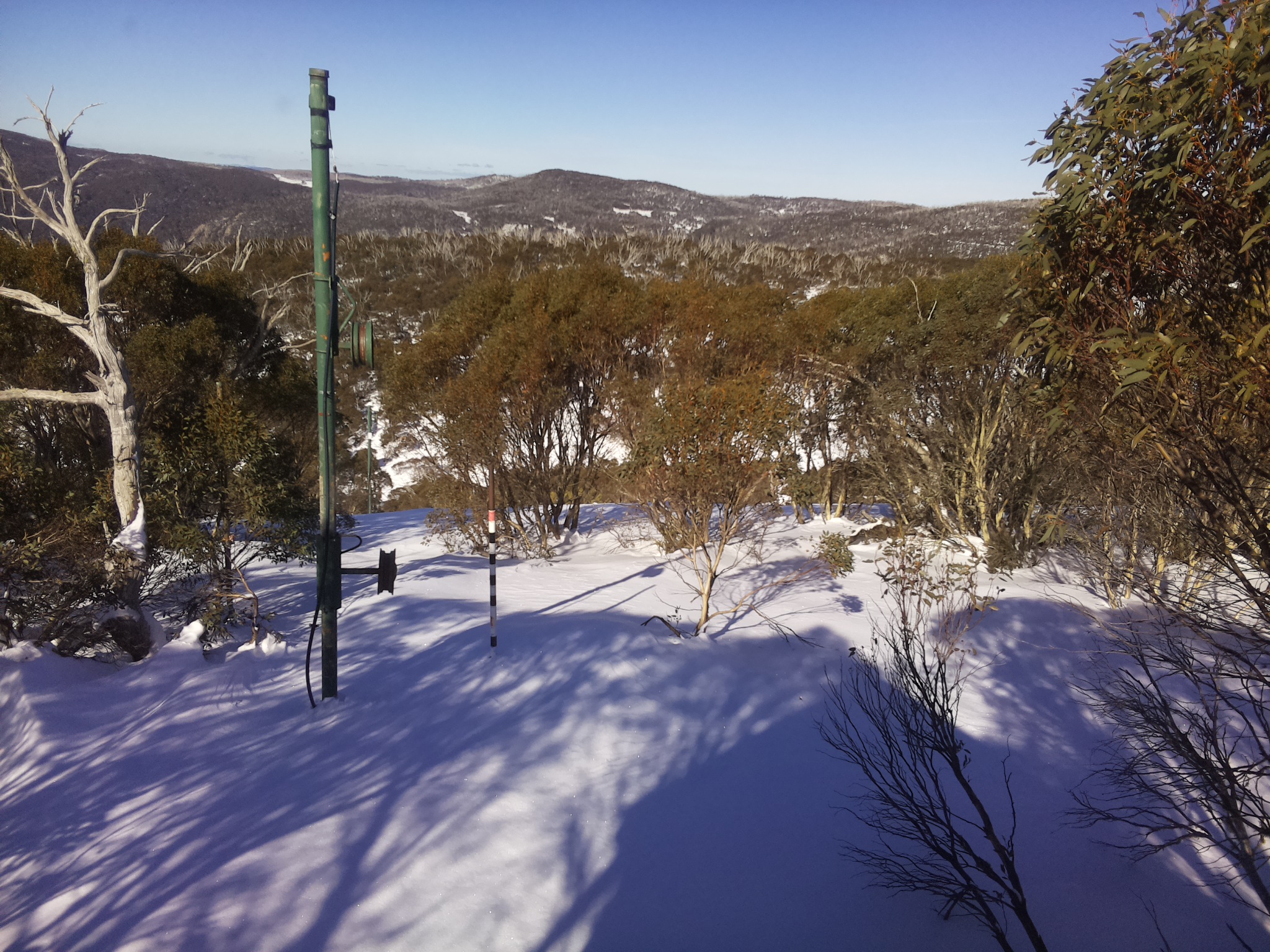 Bogong Web Cam 12:20pm Sunday 29th of June 2025