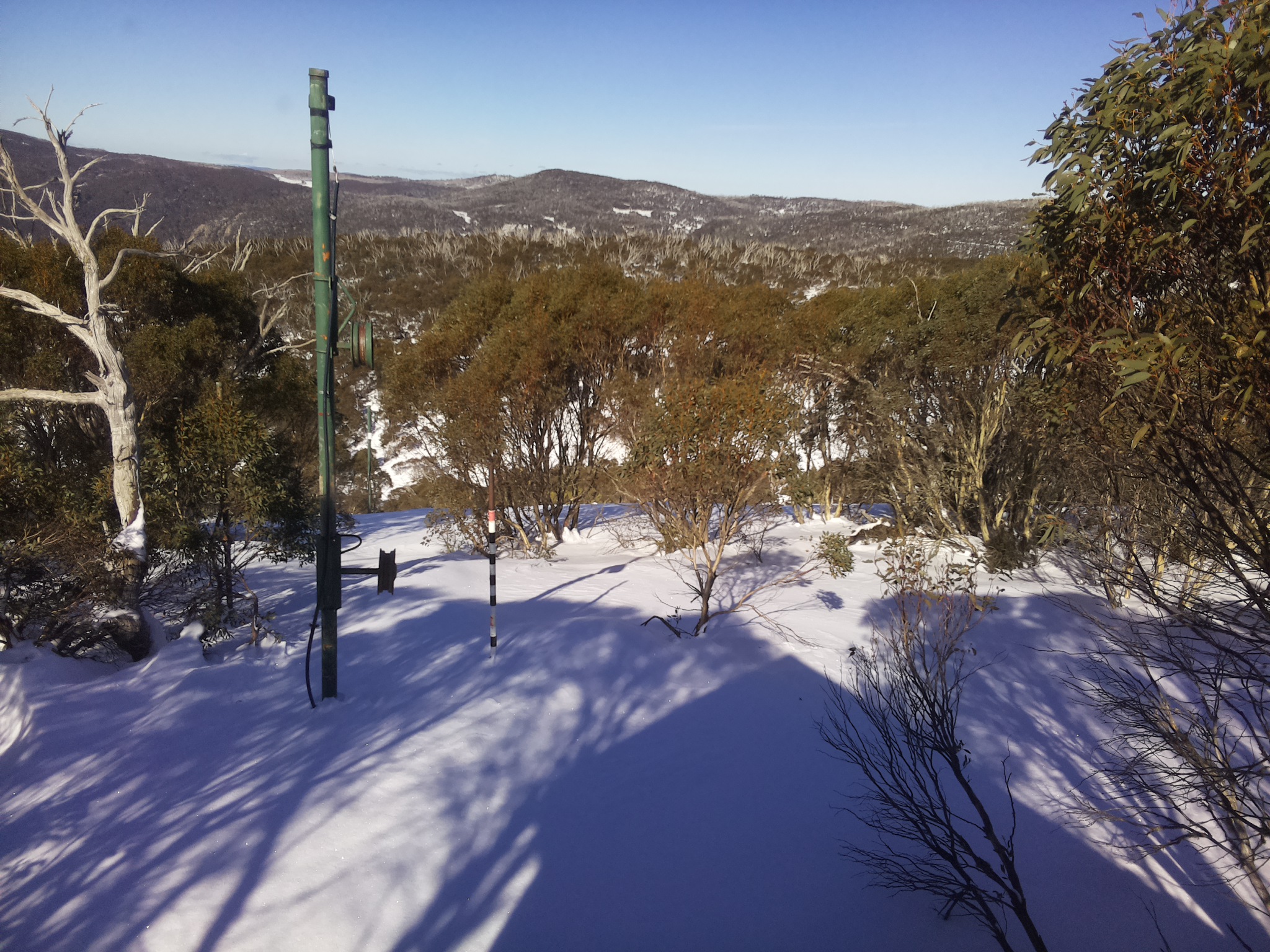 Bogong Web Cam 12:40pm Sunday 29th of June 2025