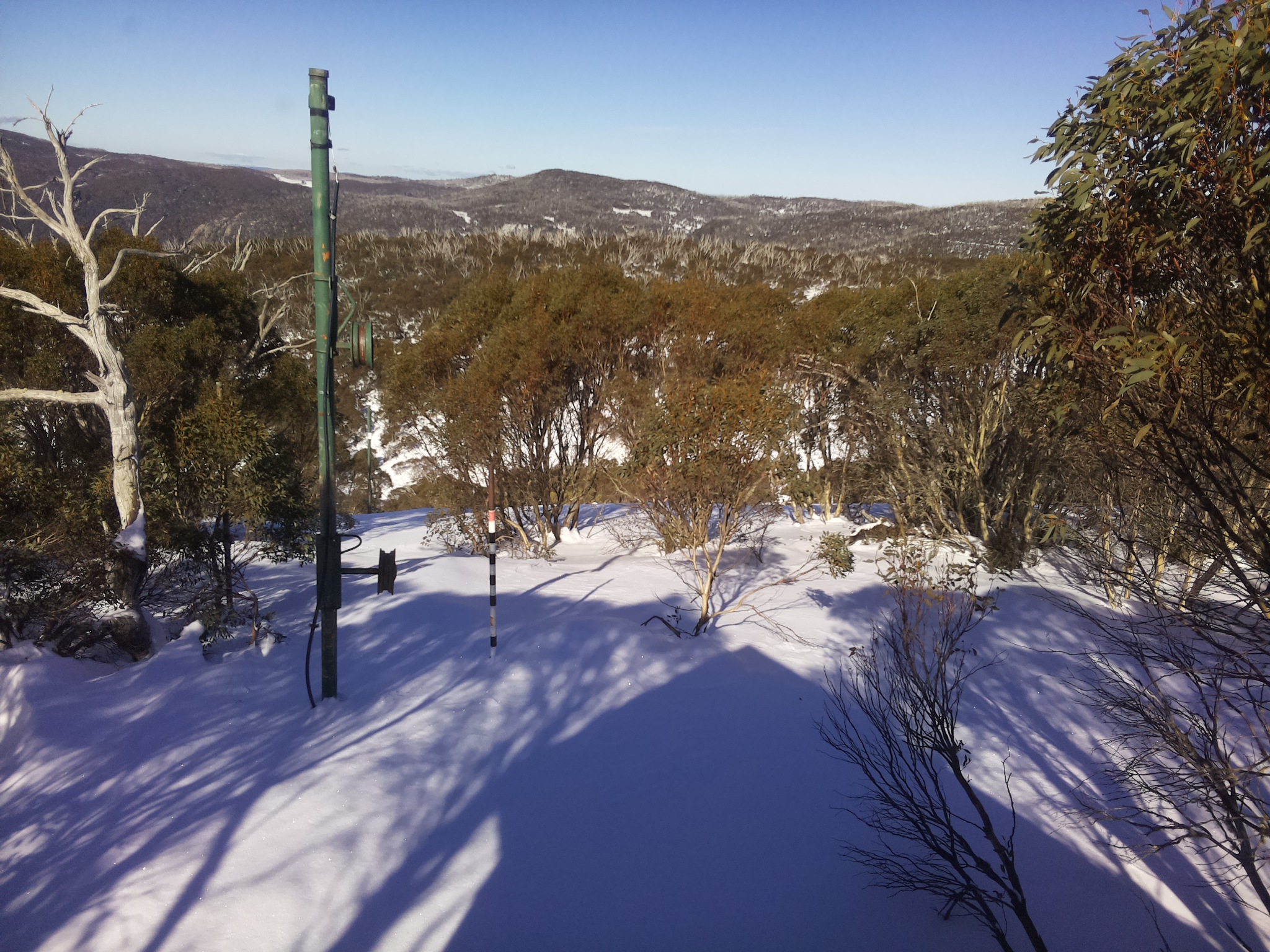 Bogong Web Cam 12:50pm Sunday 29th of June 2025