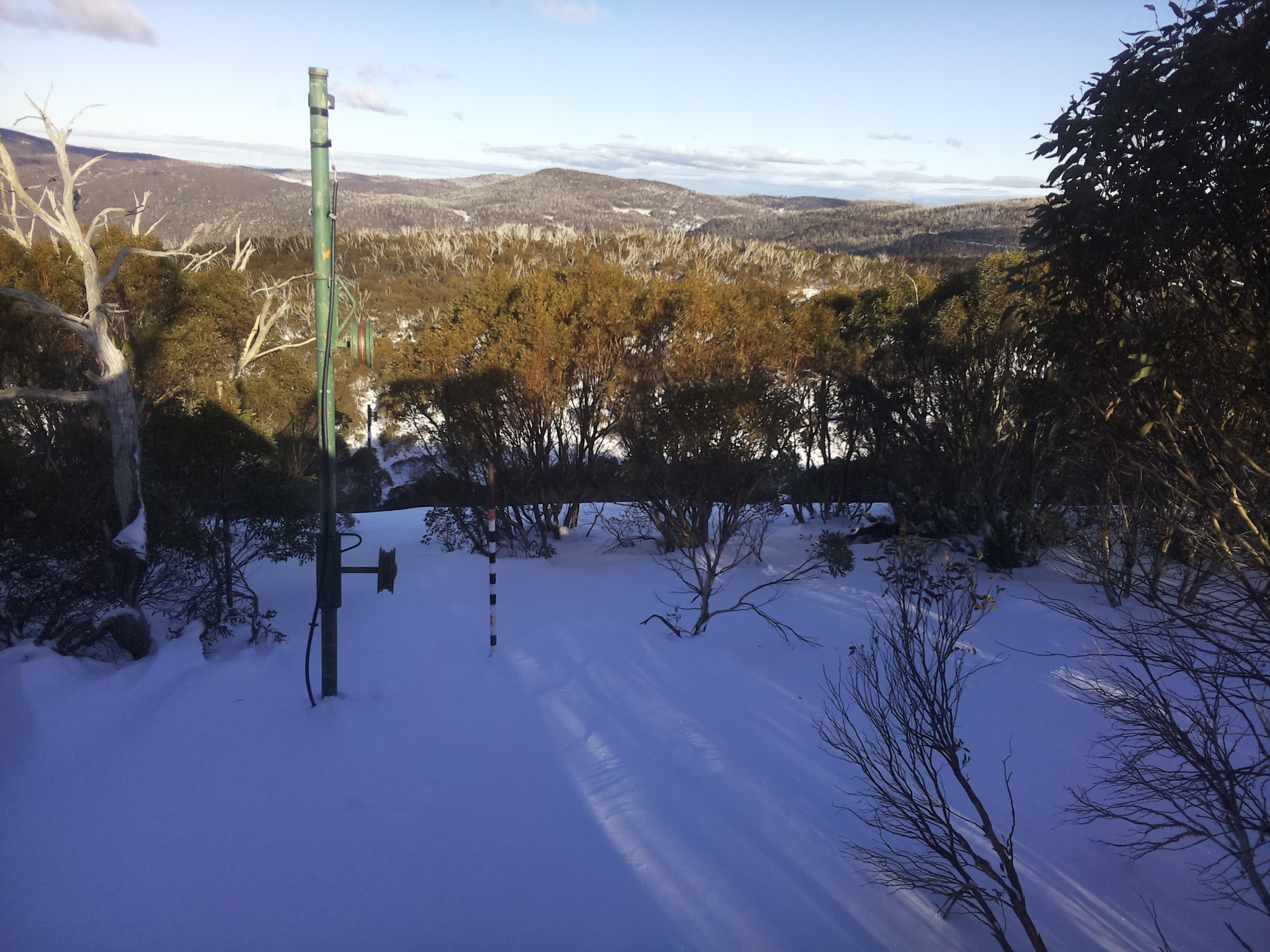 Bogong Web Cam 3:20pm Sunday 29th of June 2025