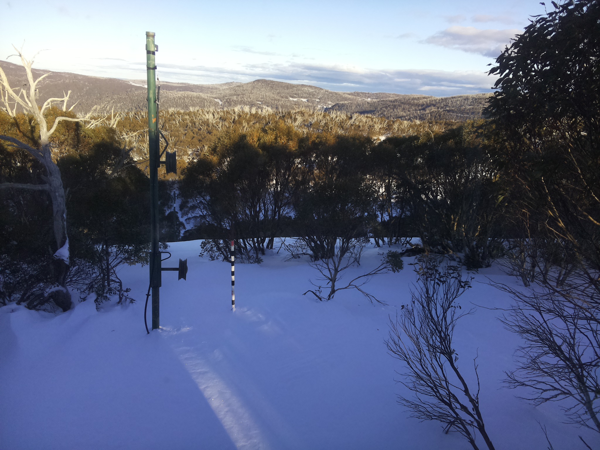 Bogong Web Cam 3:50pm Sunday 29th of June 2025