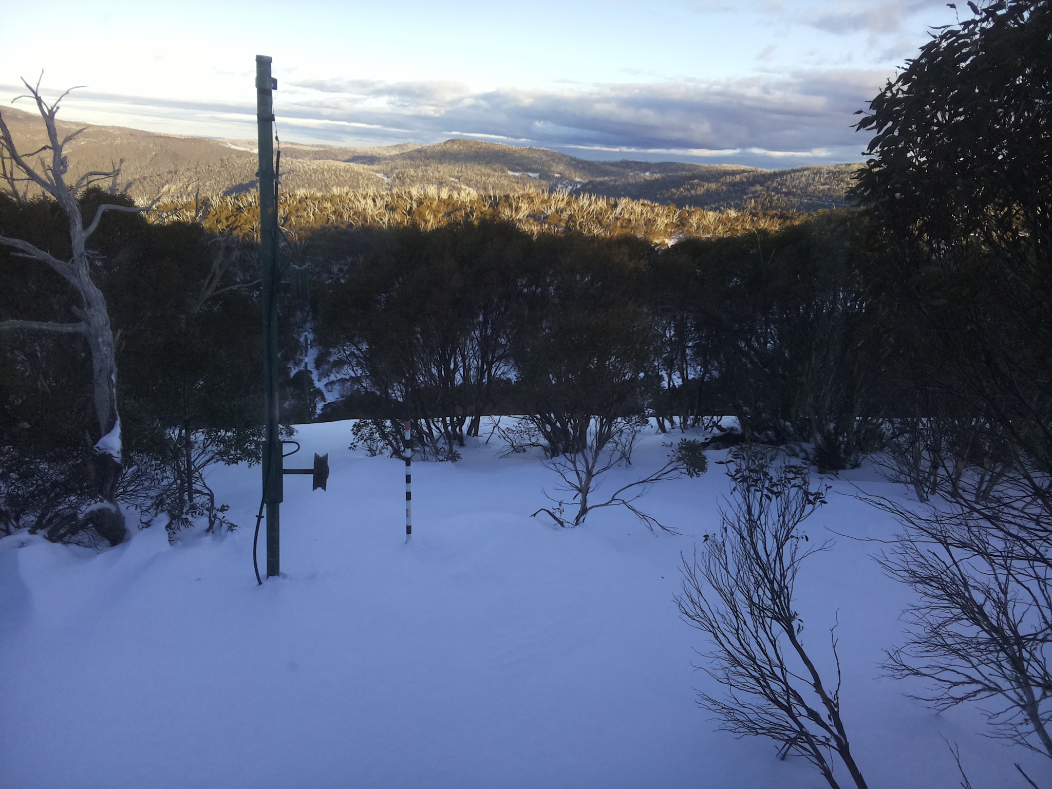 Bogong Web Cam 4:20pm Sunday 29th of June 2025