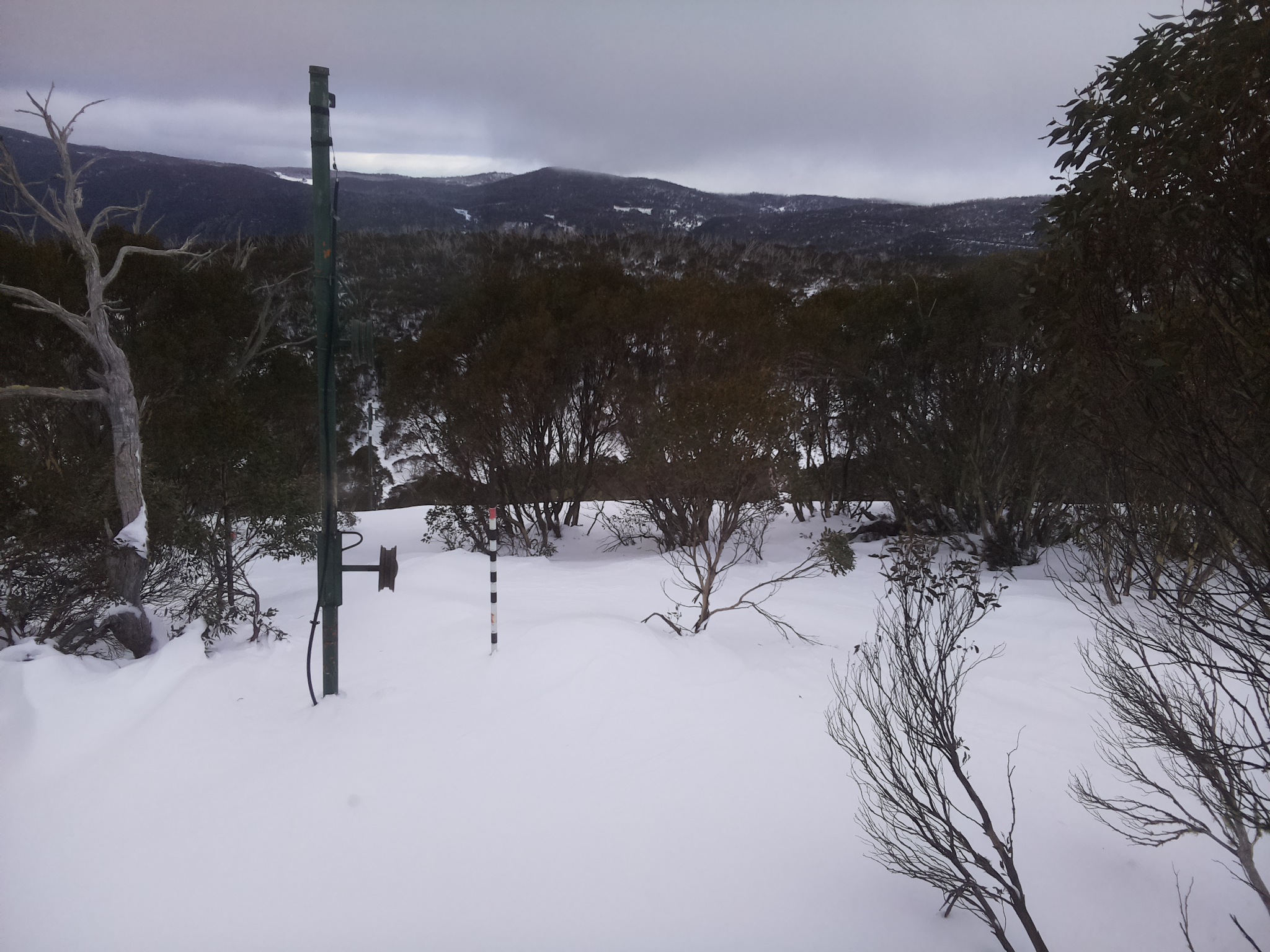 Bogong Web Cam 8:00am Monday 30th of June 2025