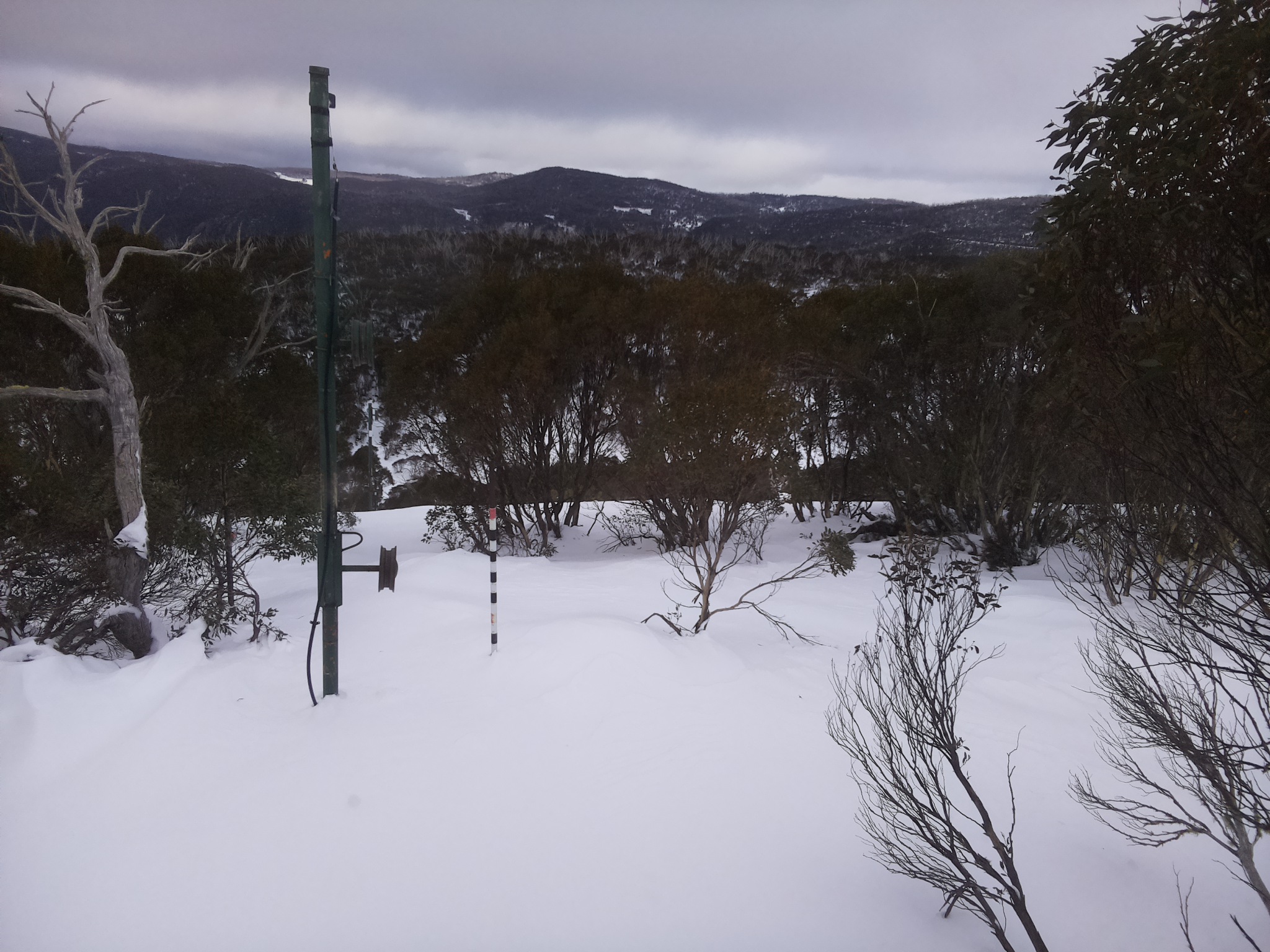 Bogong Web Cam 8:20am Monday 30th of June 2025