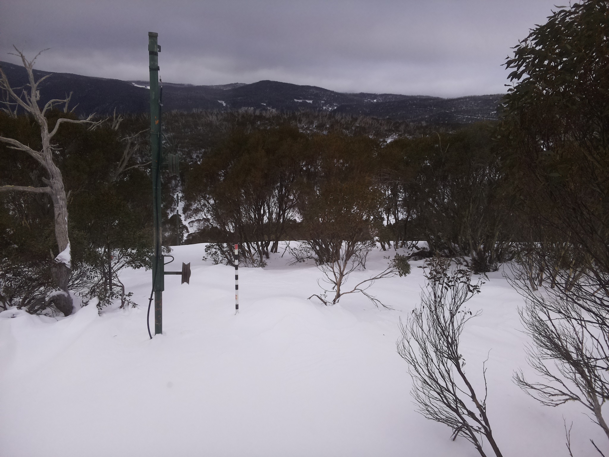 Bogong Web Cam 8:40am Monday 30th of June 2025