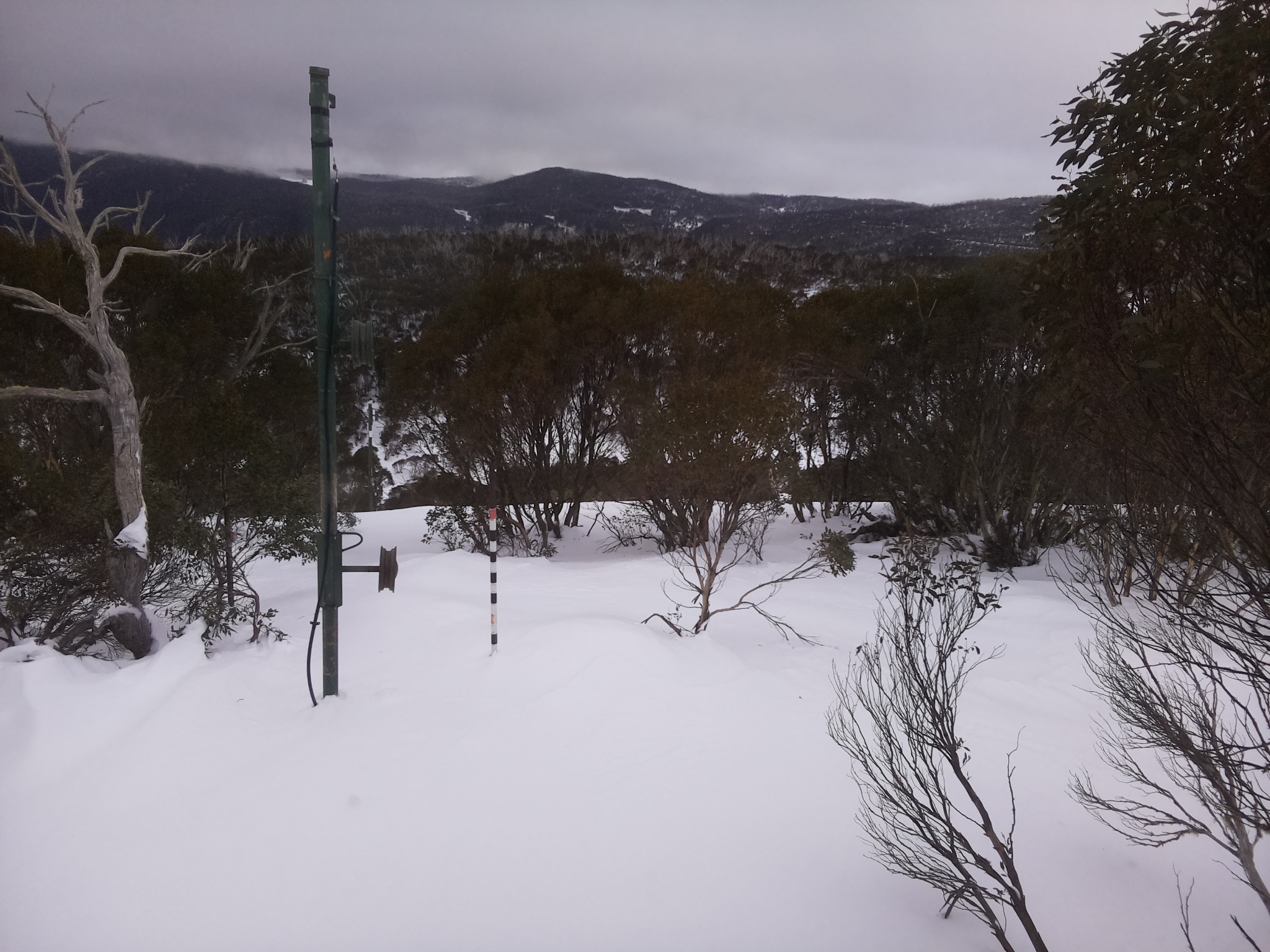 Bogong Web Cam 8:50am Monday 30th of June 2025